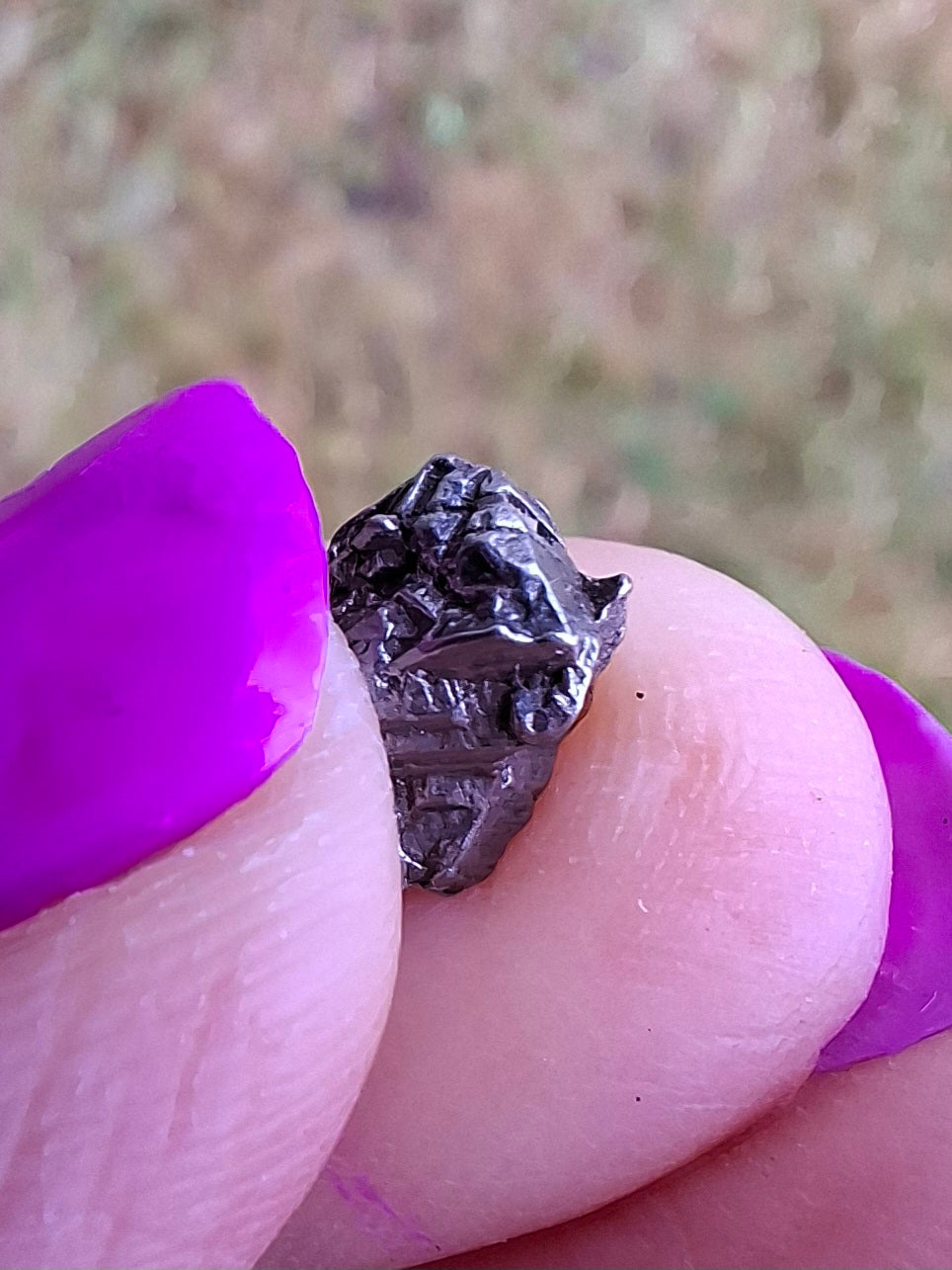 Campo del Cielo, 0.87g, Nickel Iron Meteorite (Ref: C4)