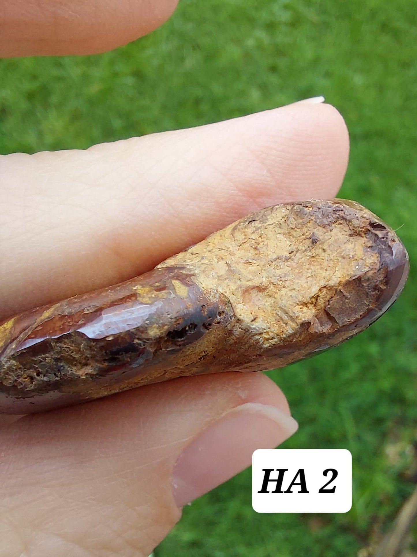 Hematite Ammonite, 22.72g, Fossil (Ref: HA2)