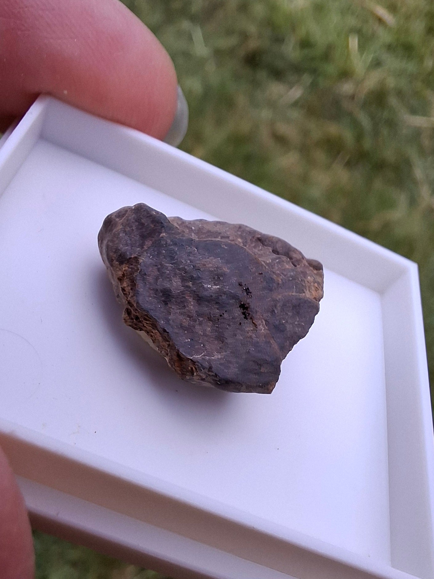 Chondrite, Meteorite (Ref: CM10)