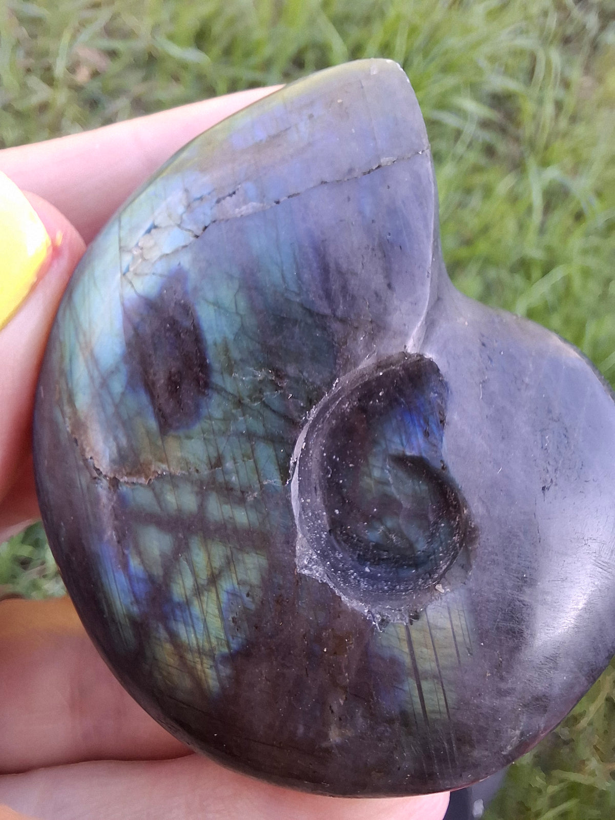Labradorite Ammonite Carving, 111.66g, Crystal (Ref: laba3)
