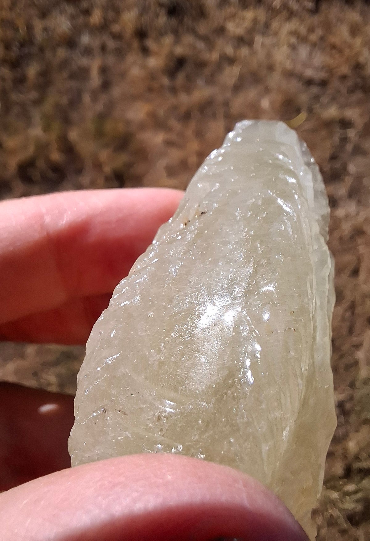 Libyan Desert Glass DRAGON HEAD Carving, 75.84g, Tektite (Ref: Dragon1)