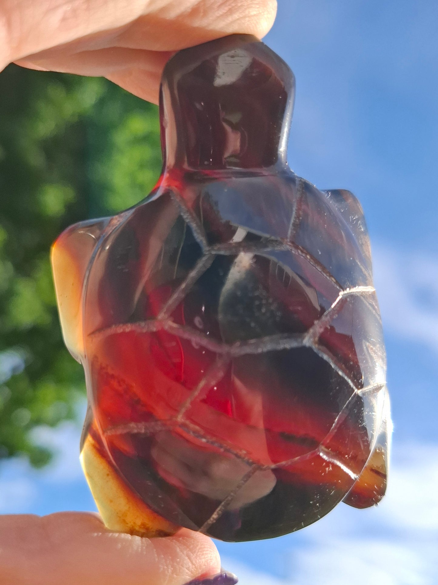 Red Amber Turtle, 47.85g, Carving, Fossil (Ref: TT4)