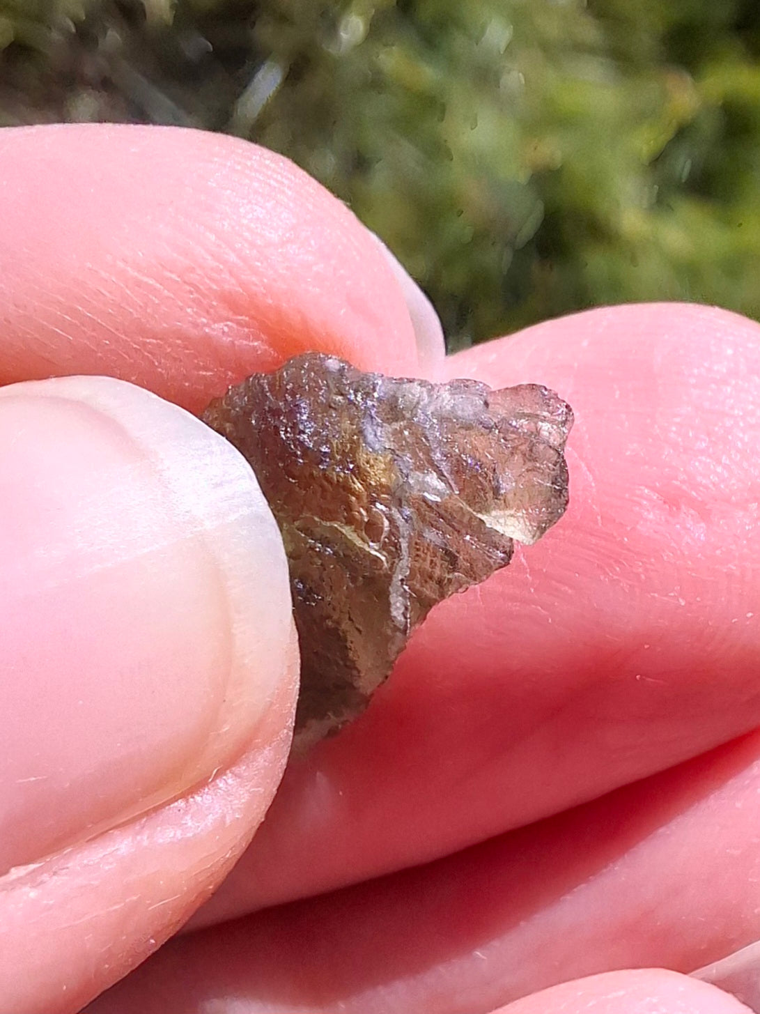 DRILLED, Moldavite Piece, 0.75g, Tektite (Ref: D23)