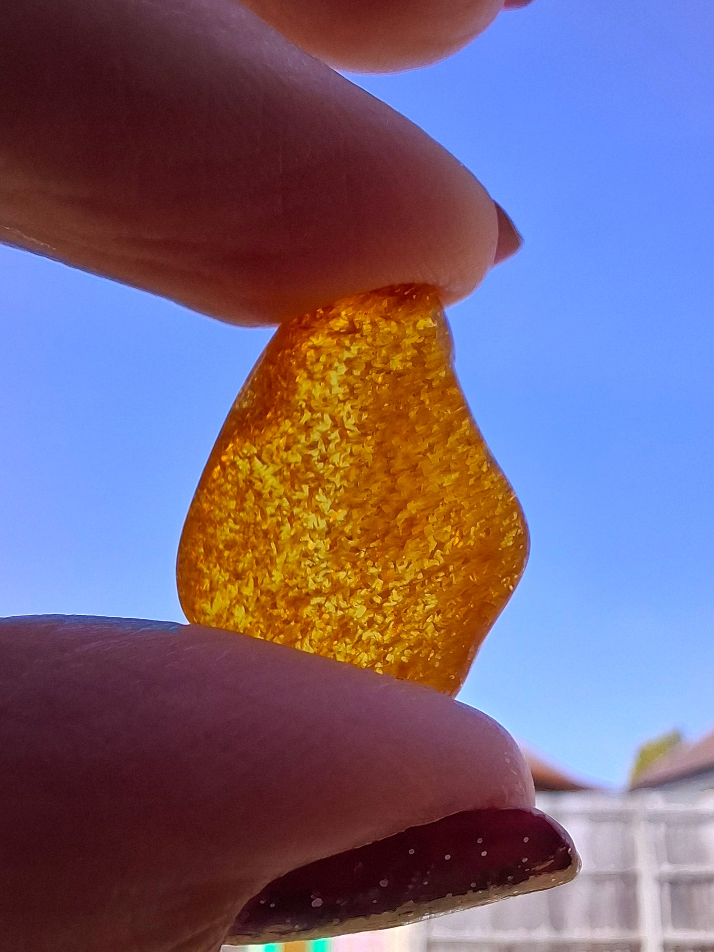 Baltic Amber, 1.37g, Fossil (Ref: A225)
