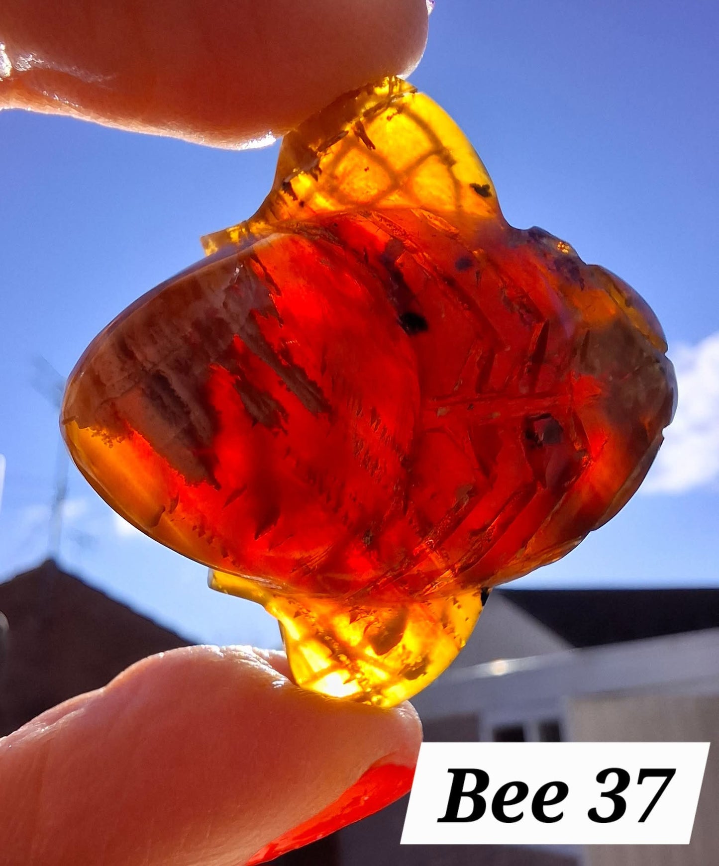 Red Amber Honey Bee Carving, 7.47g, Fossil (Ref: Bee37)
