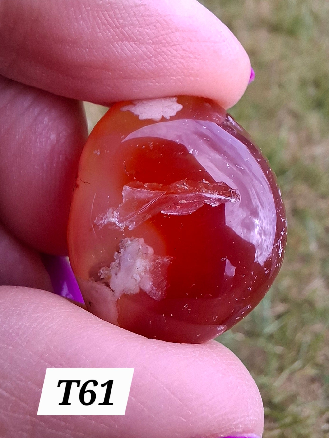 Carnelian, Tumble Stone, Crystal (Ref: T61)
