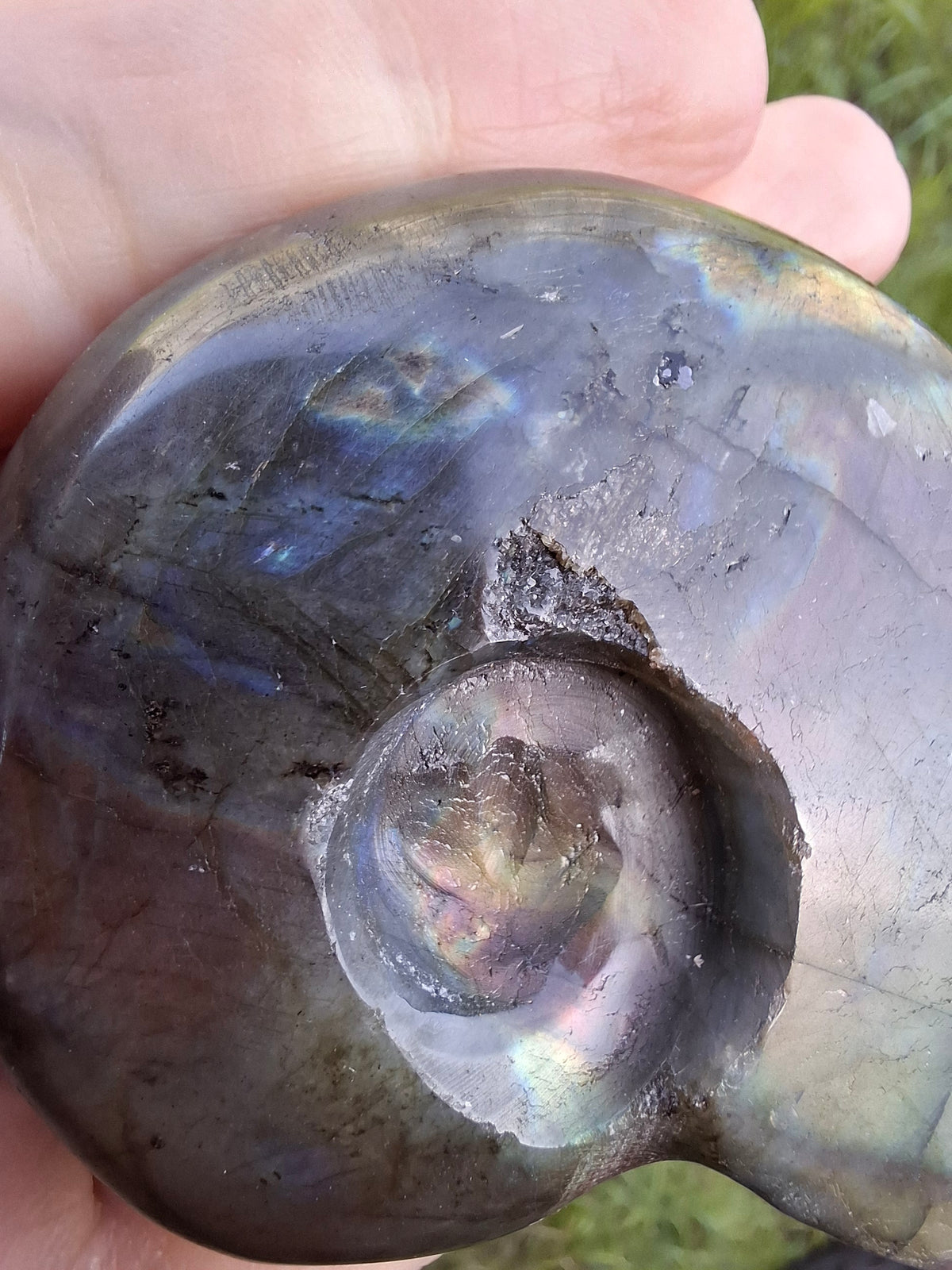 Labradorite Ammonite Carving, 146.90g, Crystal (Ref: laba5)