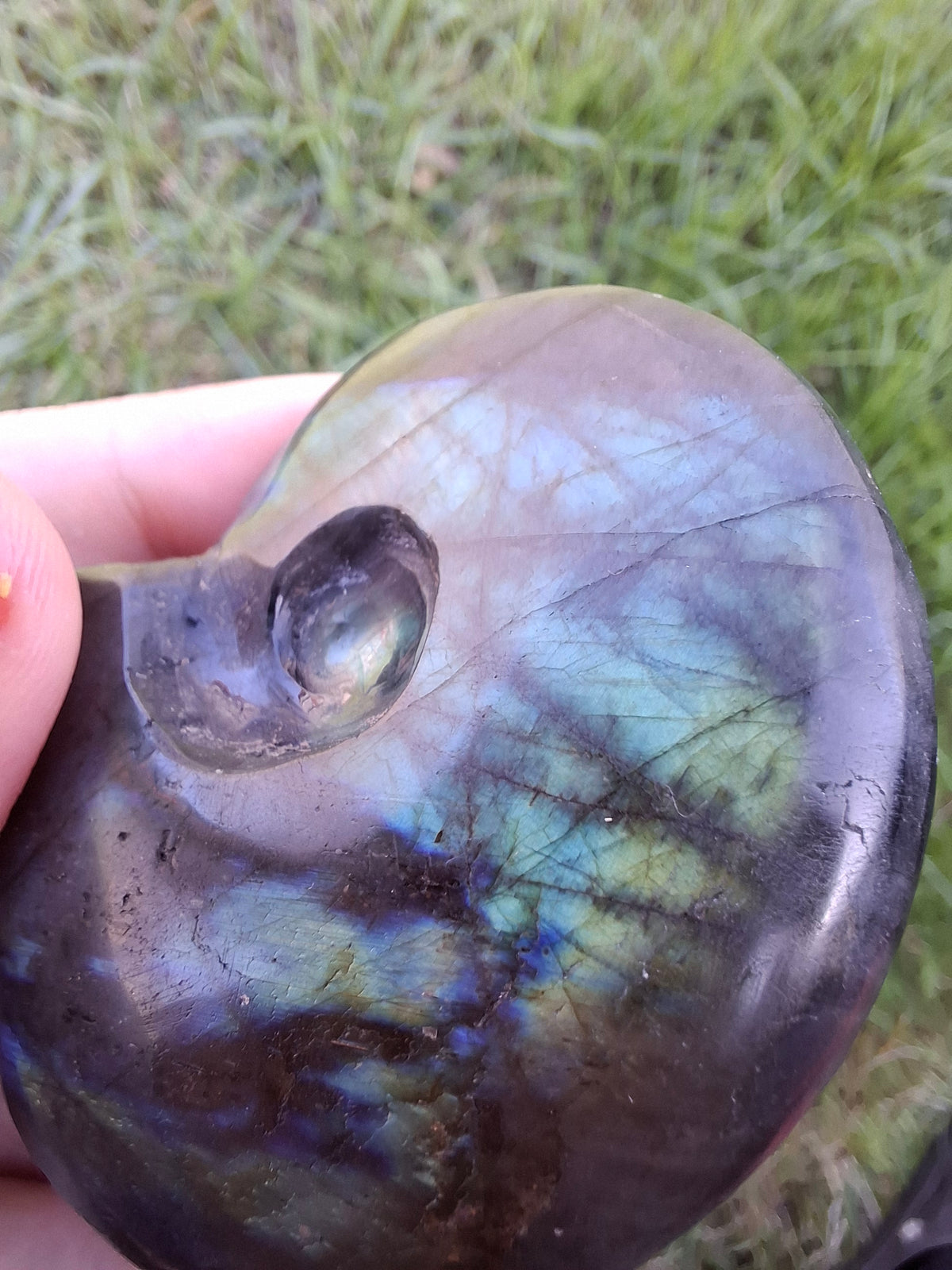 Labradorite Ammonite carving, 96.88g, Crystal (Ref: laba1)