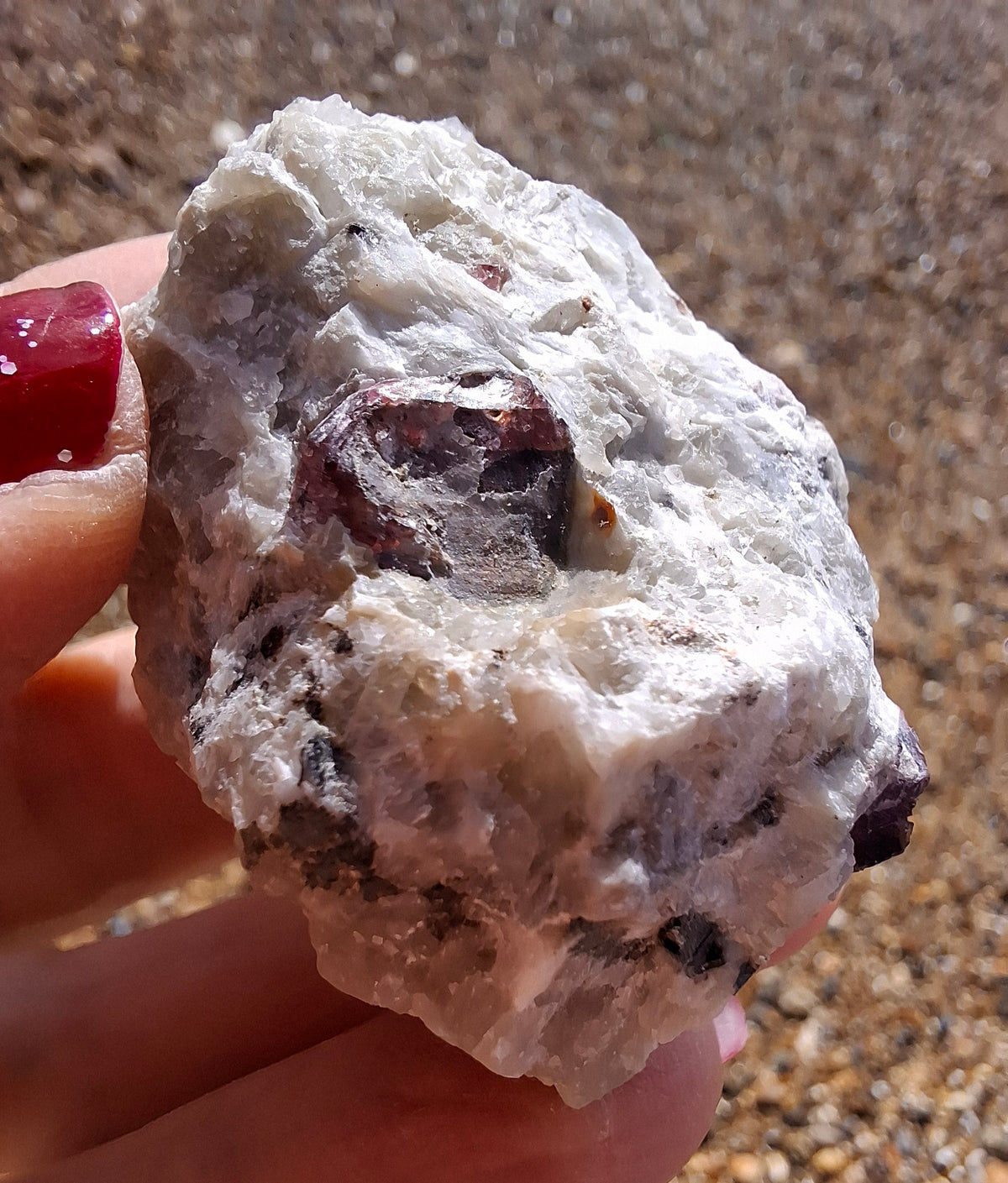(Dig your own) Garnet in Matrix, Crystal (Ref: RG5)