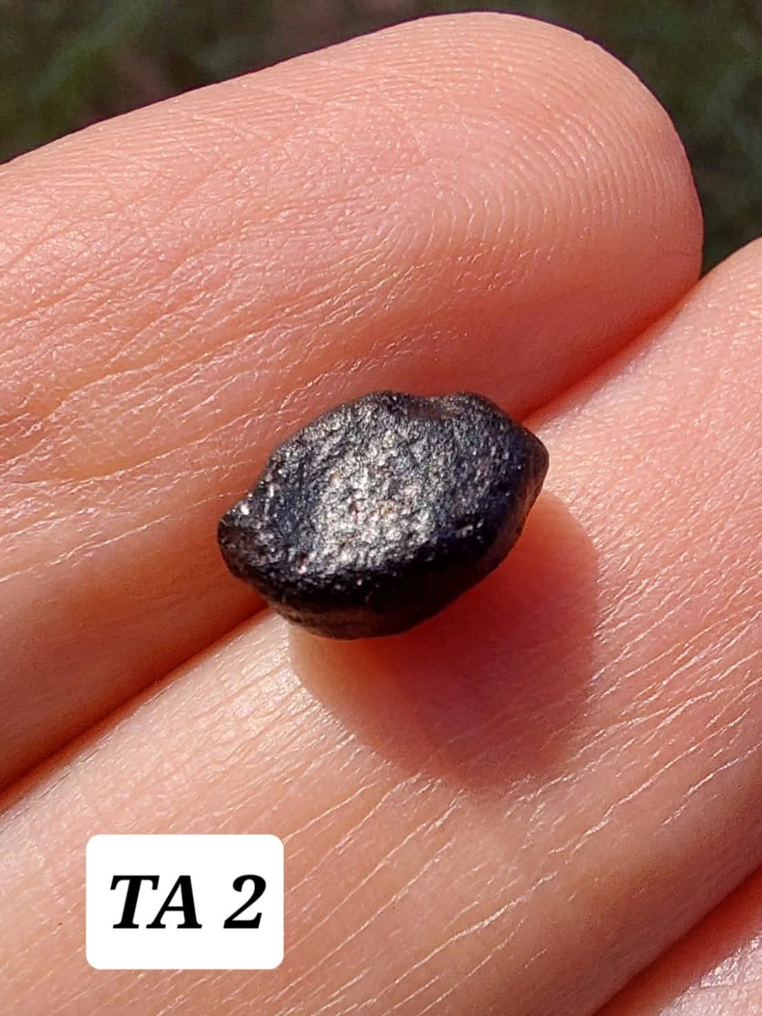 Atacamite, 0.43g, Tektite (Ref: TA2)