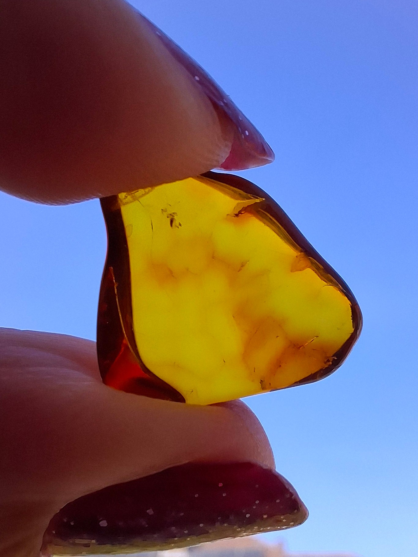 Baltic Amber, 0.88g, Fossil (Ref: A254)