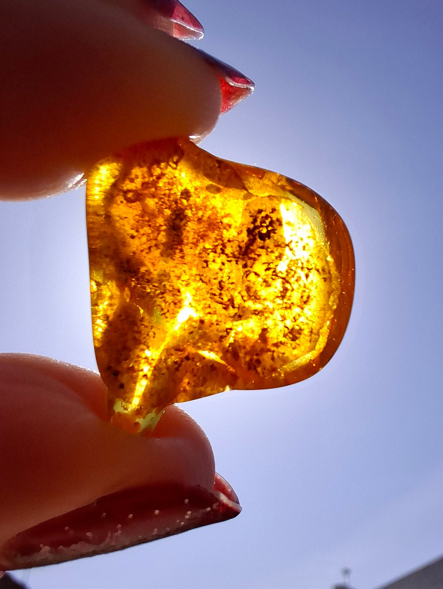 Baltic Amber, 1.58g, Fossil (Ref: A231)