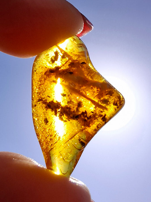 Baltic Amber, 1.25g, Fossil (Ref: A188)