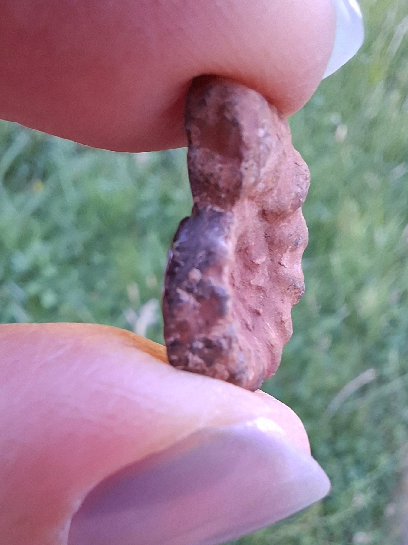 Small Haematite Ammonite HALF, 1.41g, Fossil (Ref: MA6)