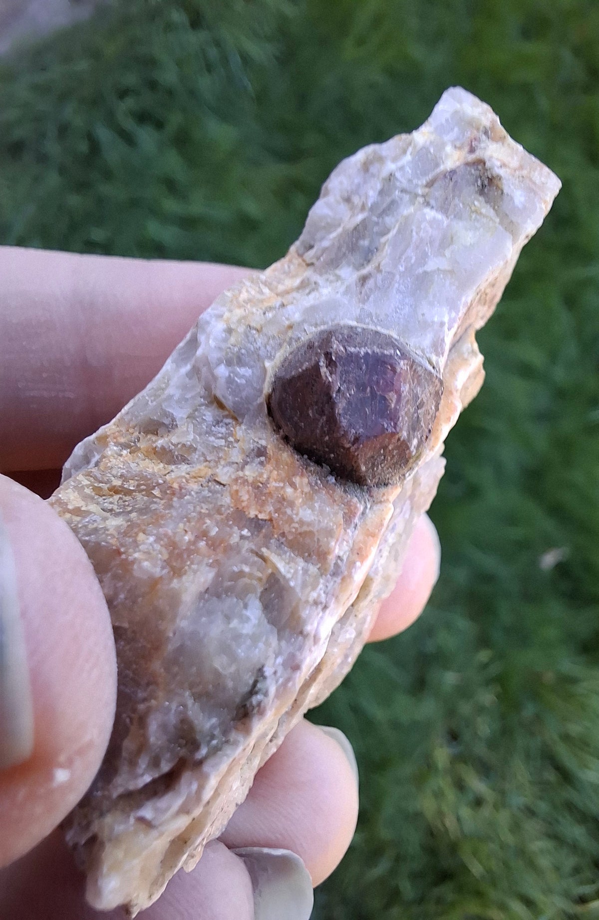 (Dig your own) Garnet in Matrix, Crystal (Ref: RG4)