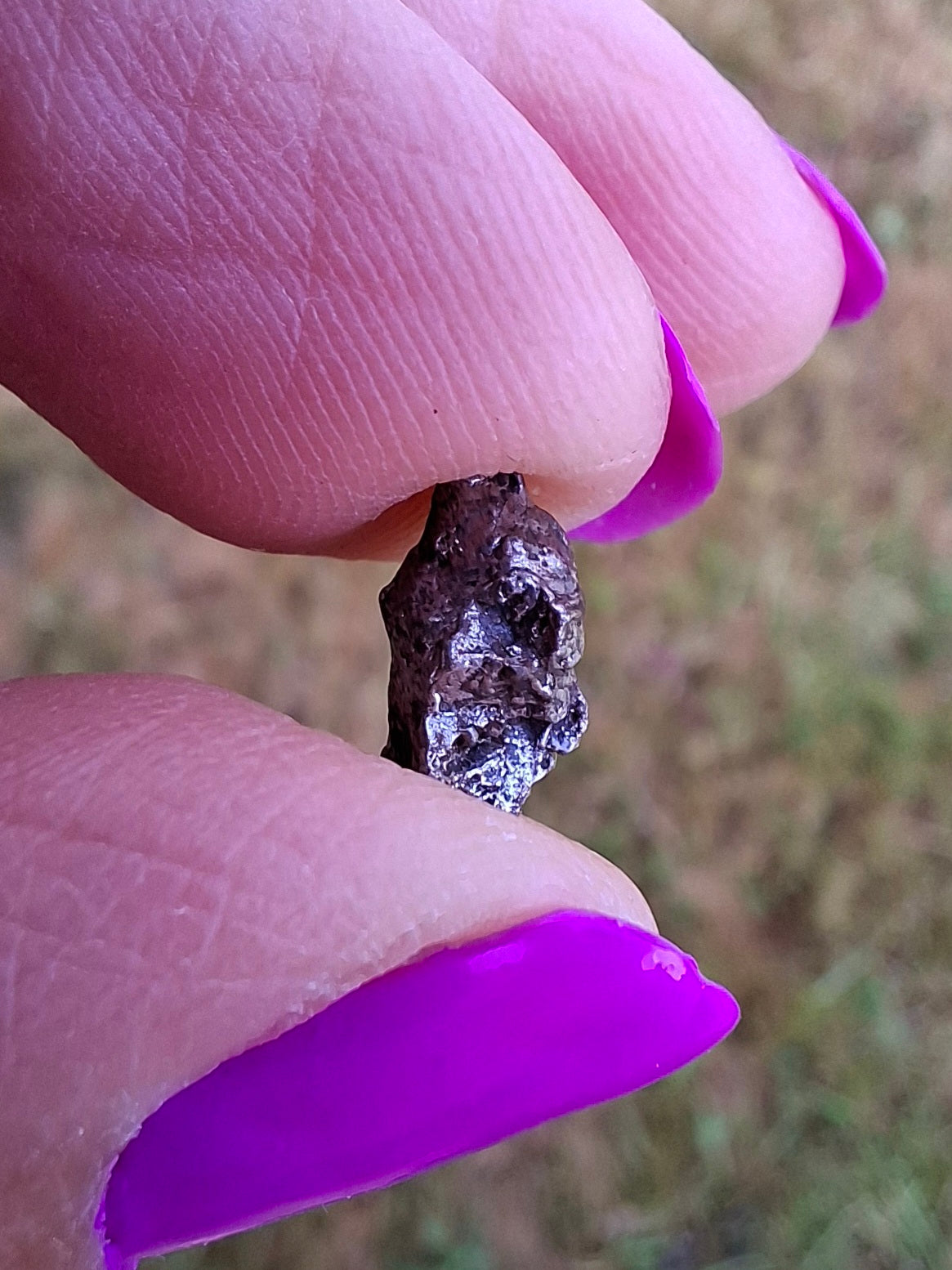 Campo del Cielo, 1.00g, Nickel Iron Meteorite (Ref: C6)