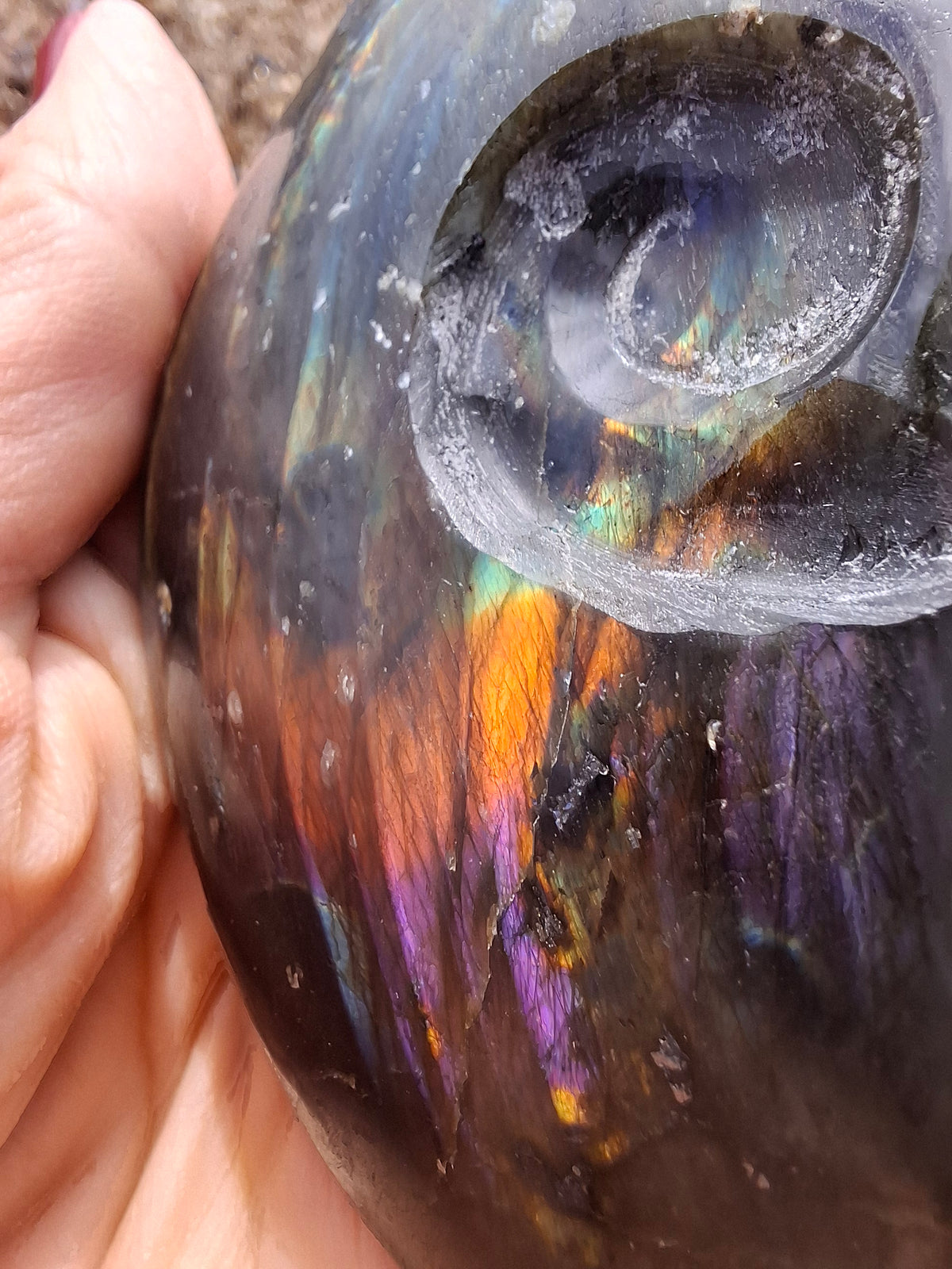Labradorite Ammonite Carving, 160.21g, Crystal (Ref: laba4)