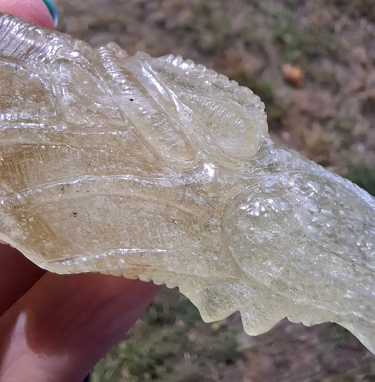 Libyan Desert Glass DRAGON HEAD carving, 48.11g, Tektite (Ref: Dragon4)