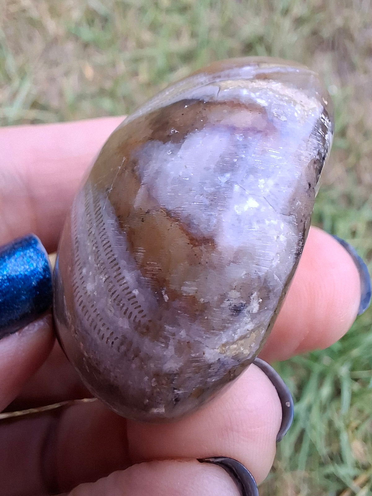 Polished Sea Urchin, Fossil (Ref: SU2)