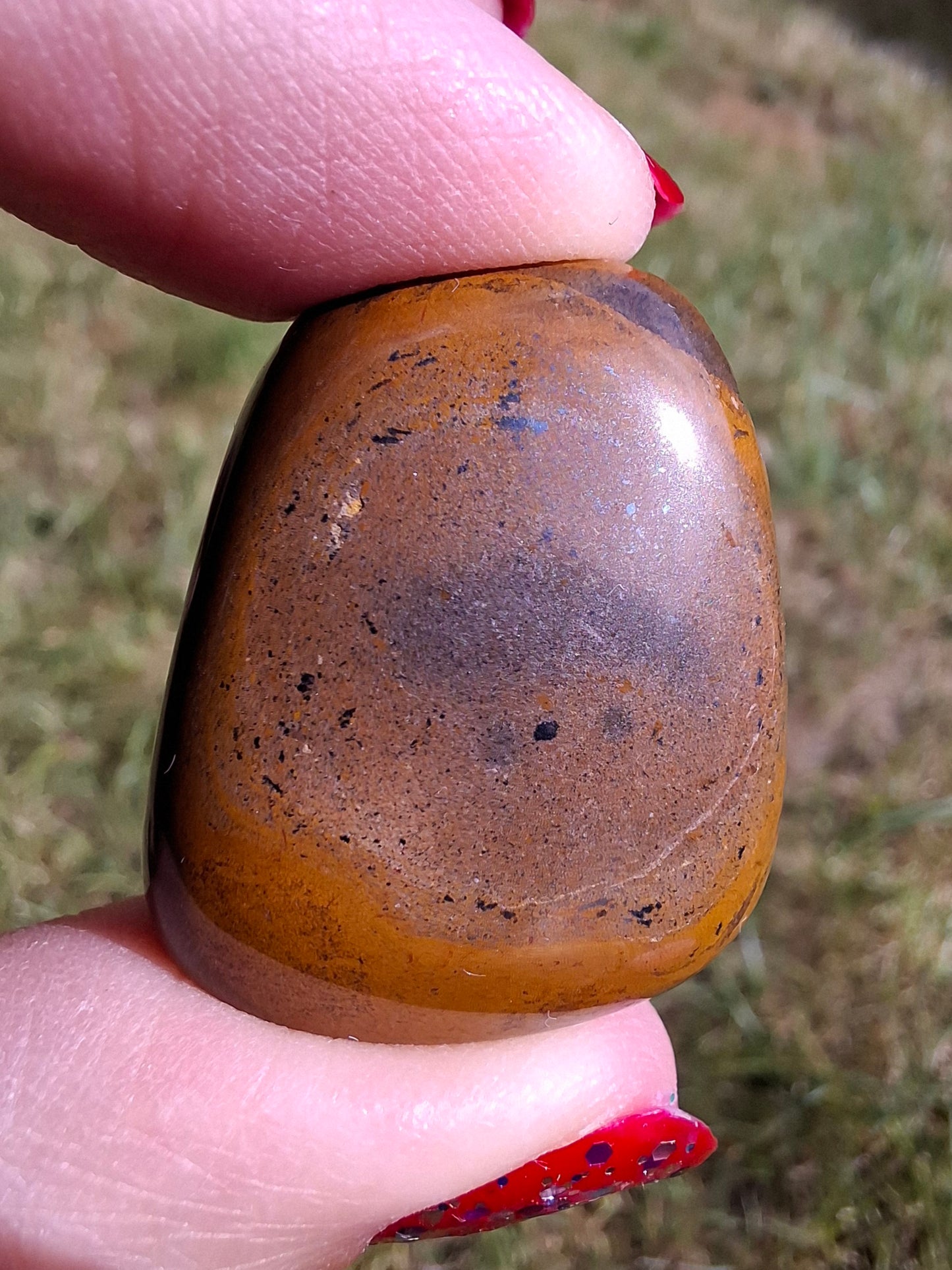 Tigers Eye, Tumble Stone, Crystal (Ref: T131)