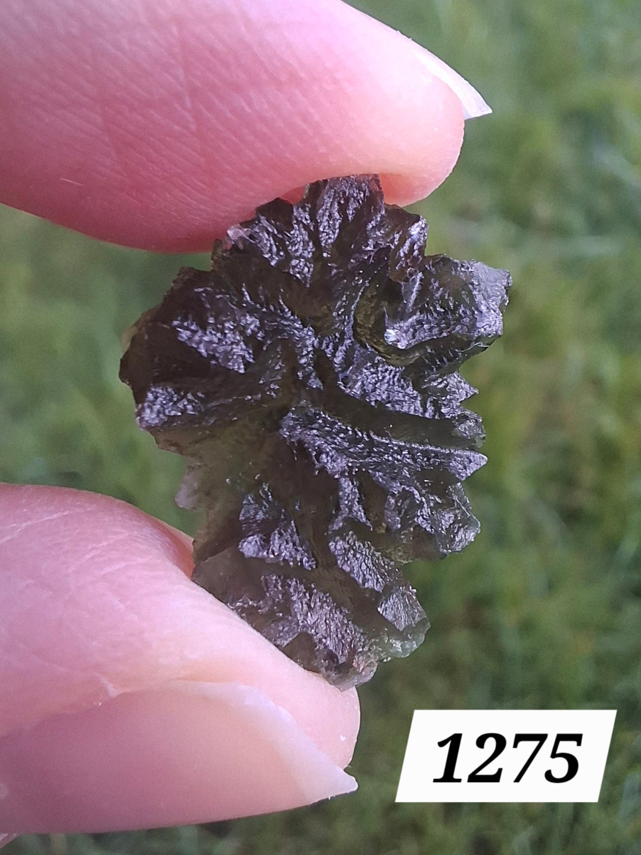 Moldavite Piece, JEZKOVNA BESEDNICE, 2.05g, Tektite (Ref: 1275)