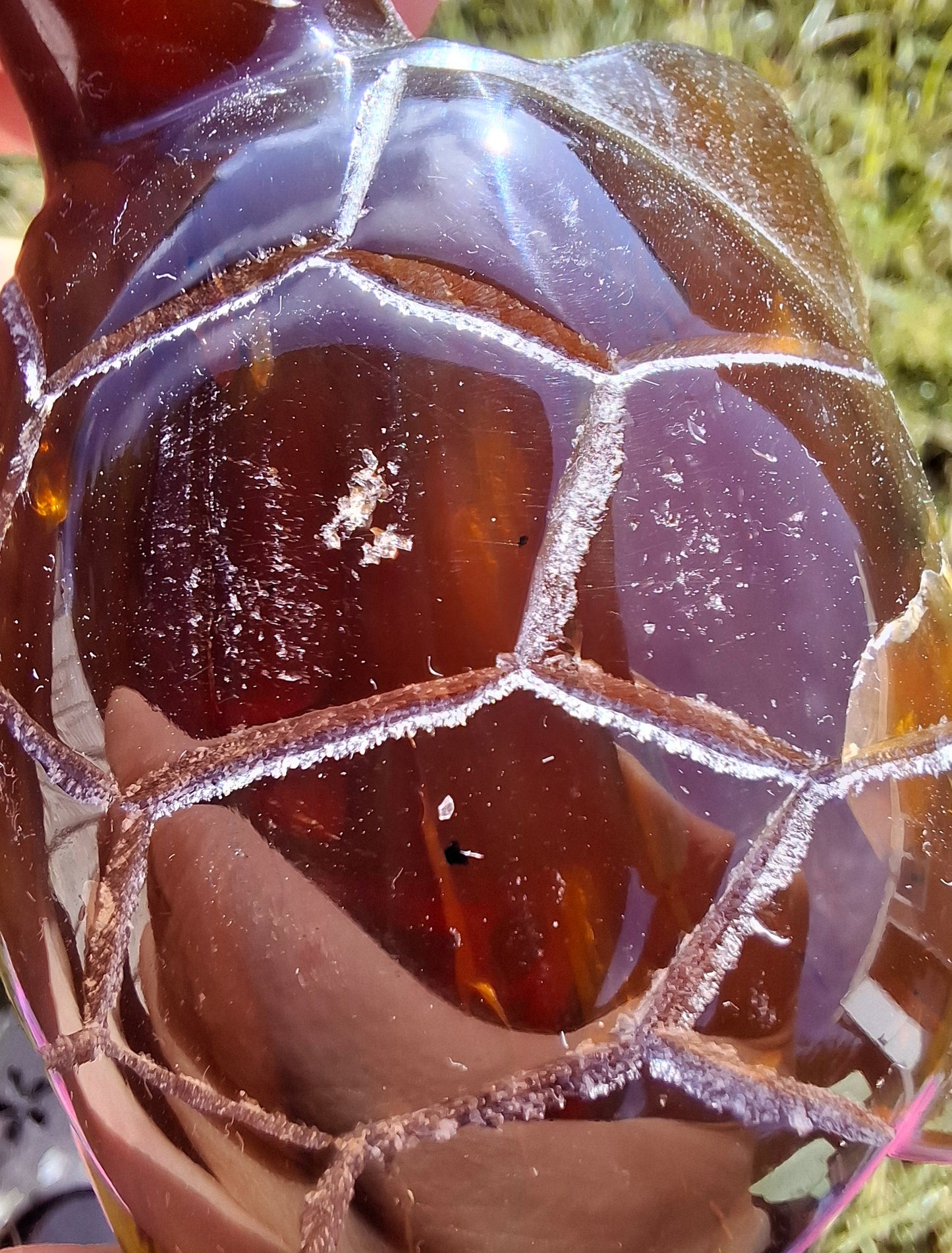 Red Amber Turtle, 49.15g, Carving, Fossil (Ref: TT1)