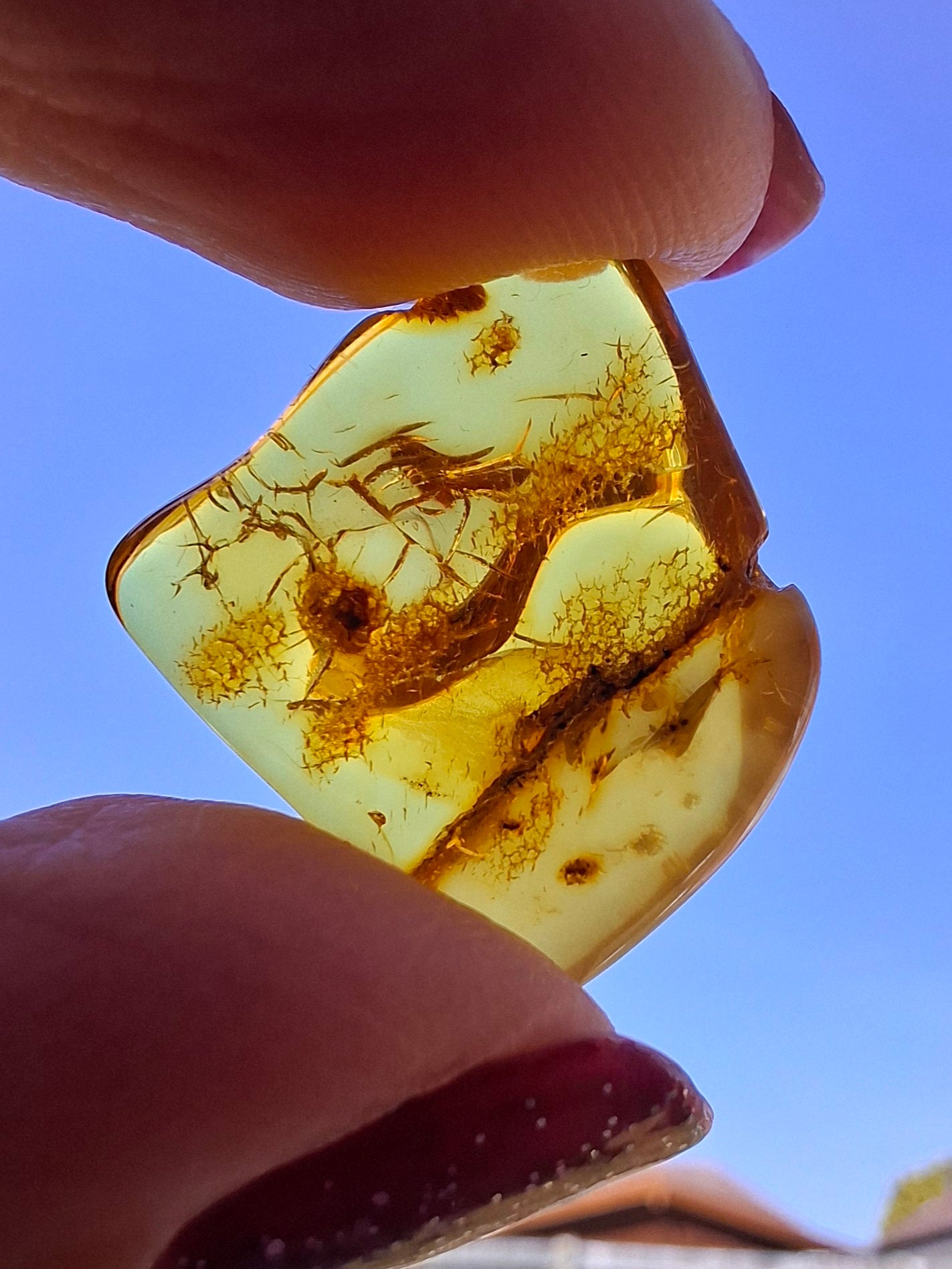 Baltic Amber, 1.51g, Fossil (Ref: A236)