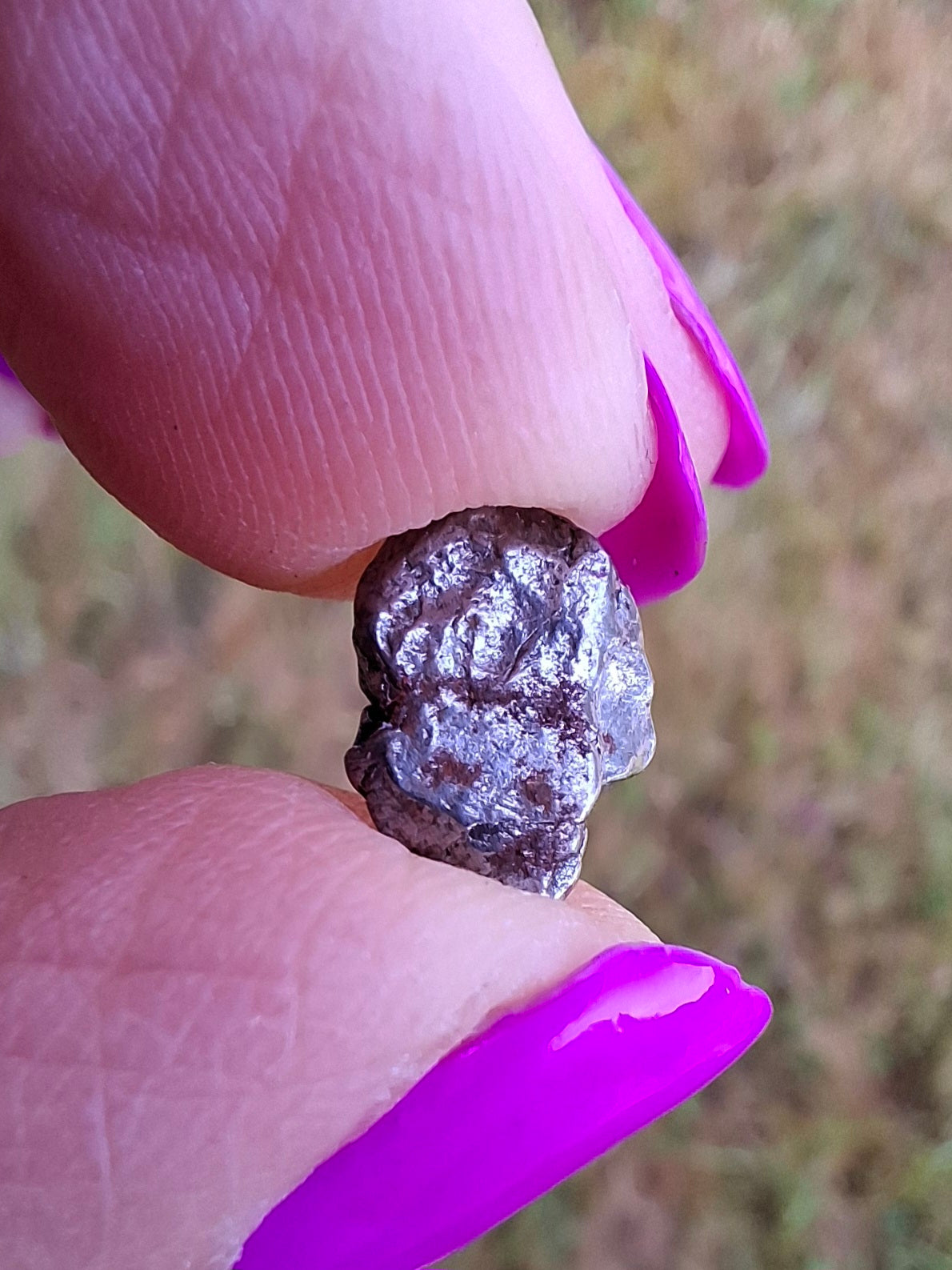 Campo del Cielo, 0.96g, Nickel Iron Meteorite (Ref: C7)