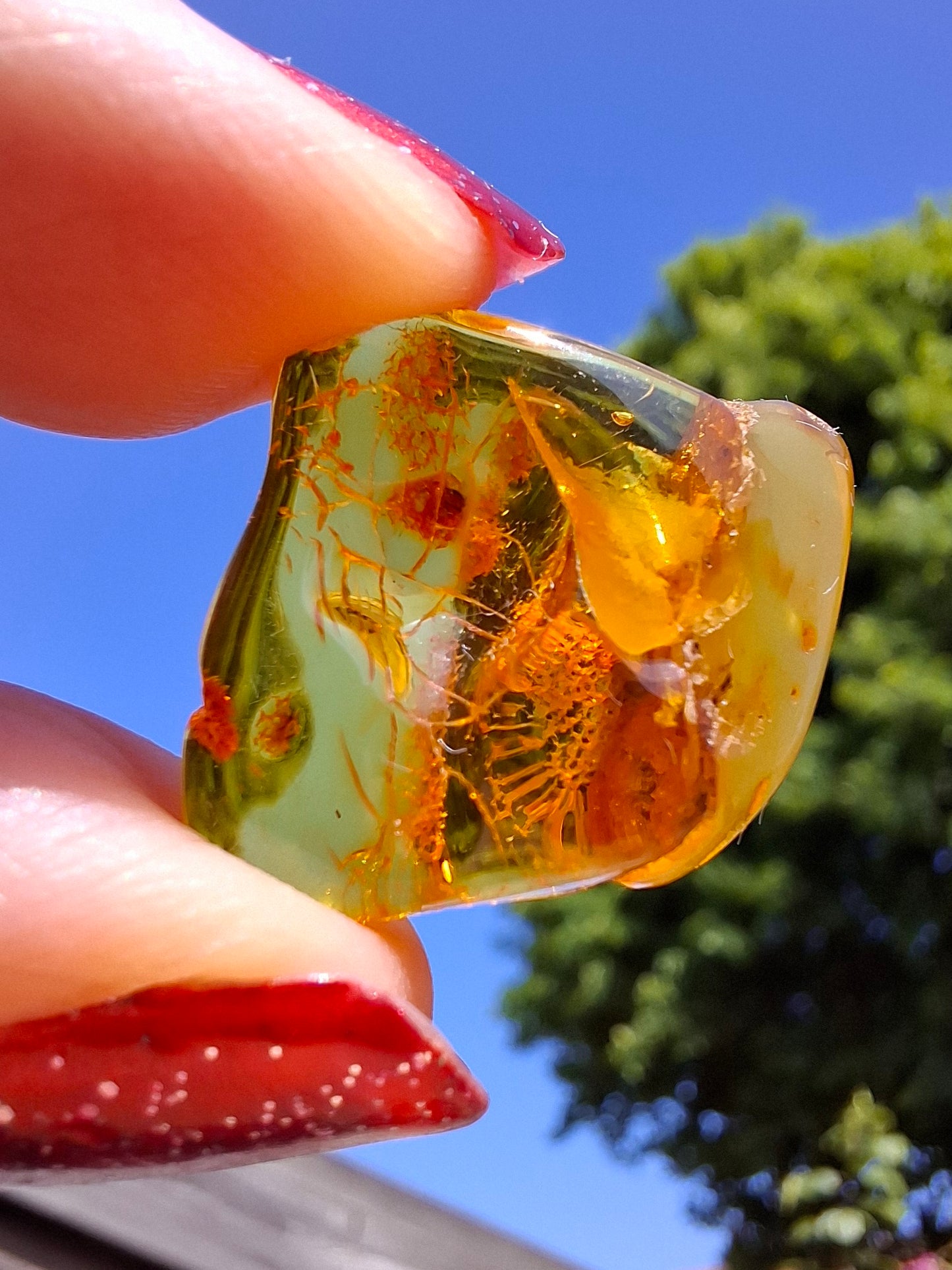 Baltic Amber, 1.51g, Fossil (Ref: A236)