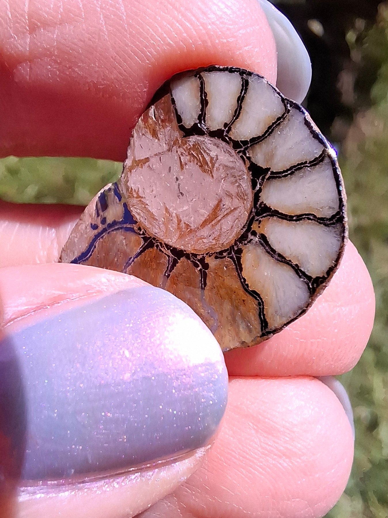 Small Haematite Ammonite HALF, 1.66g, Fossil (Ref: MA2)