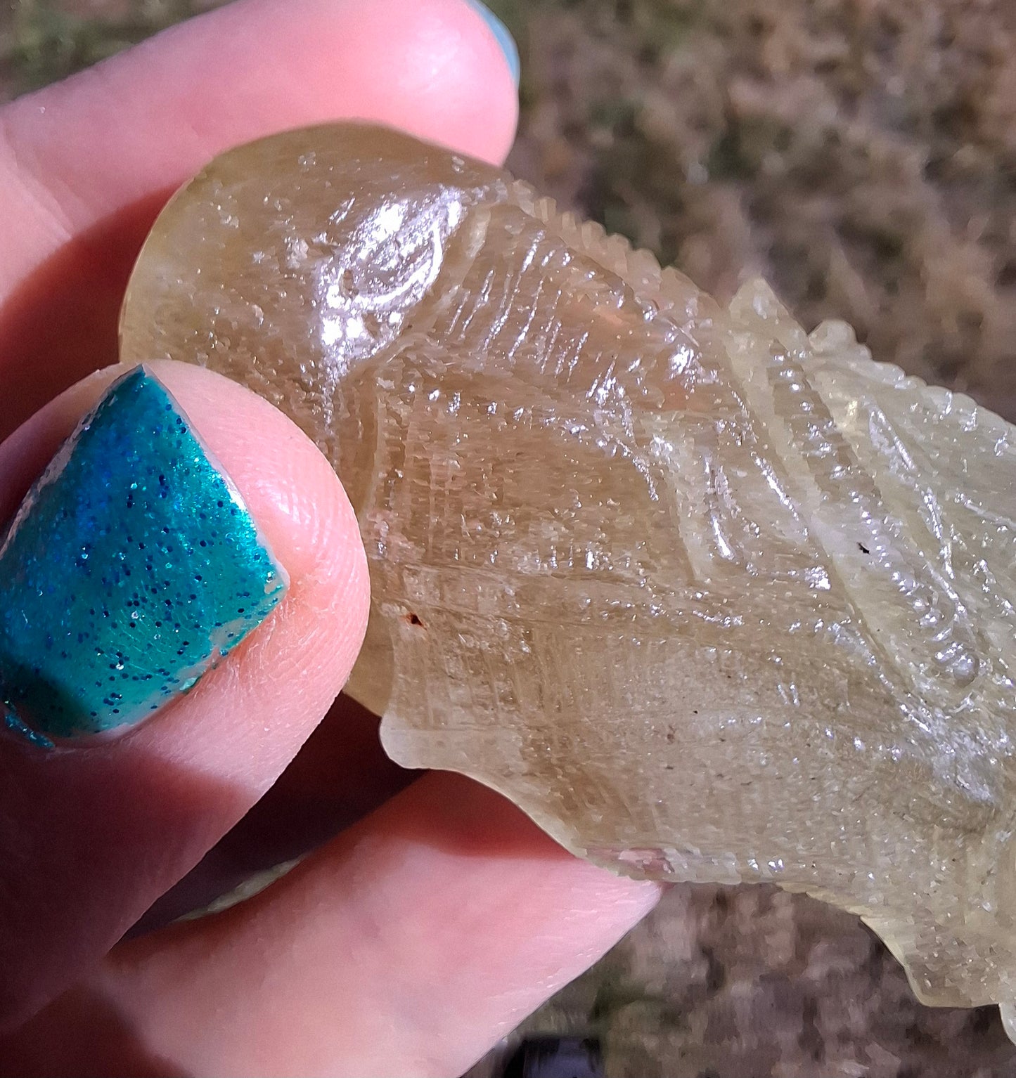 Libyan Desert Glass DRAGON HEAD carving, 48.11g, Tektite (Ref: Dragon4)