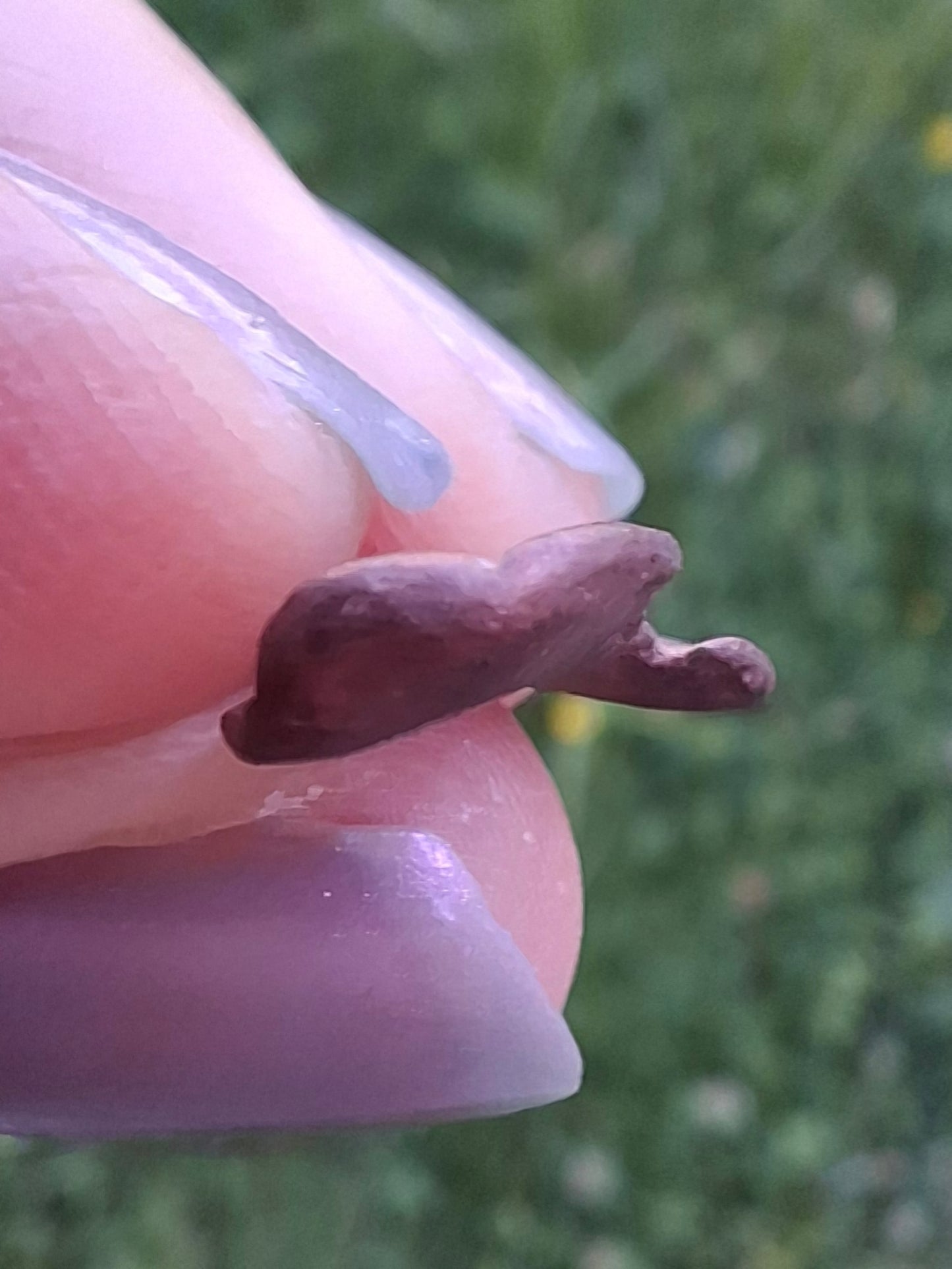 Native Copper Nugget, 1.34g, (Ref: COP1)
