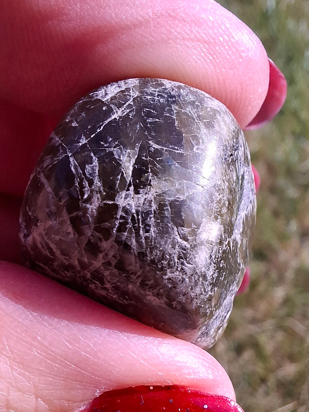 Labradorite, Tumble Stone, Crystal (Ref: T210)