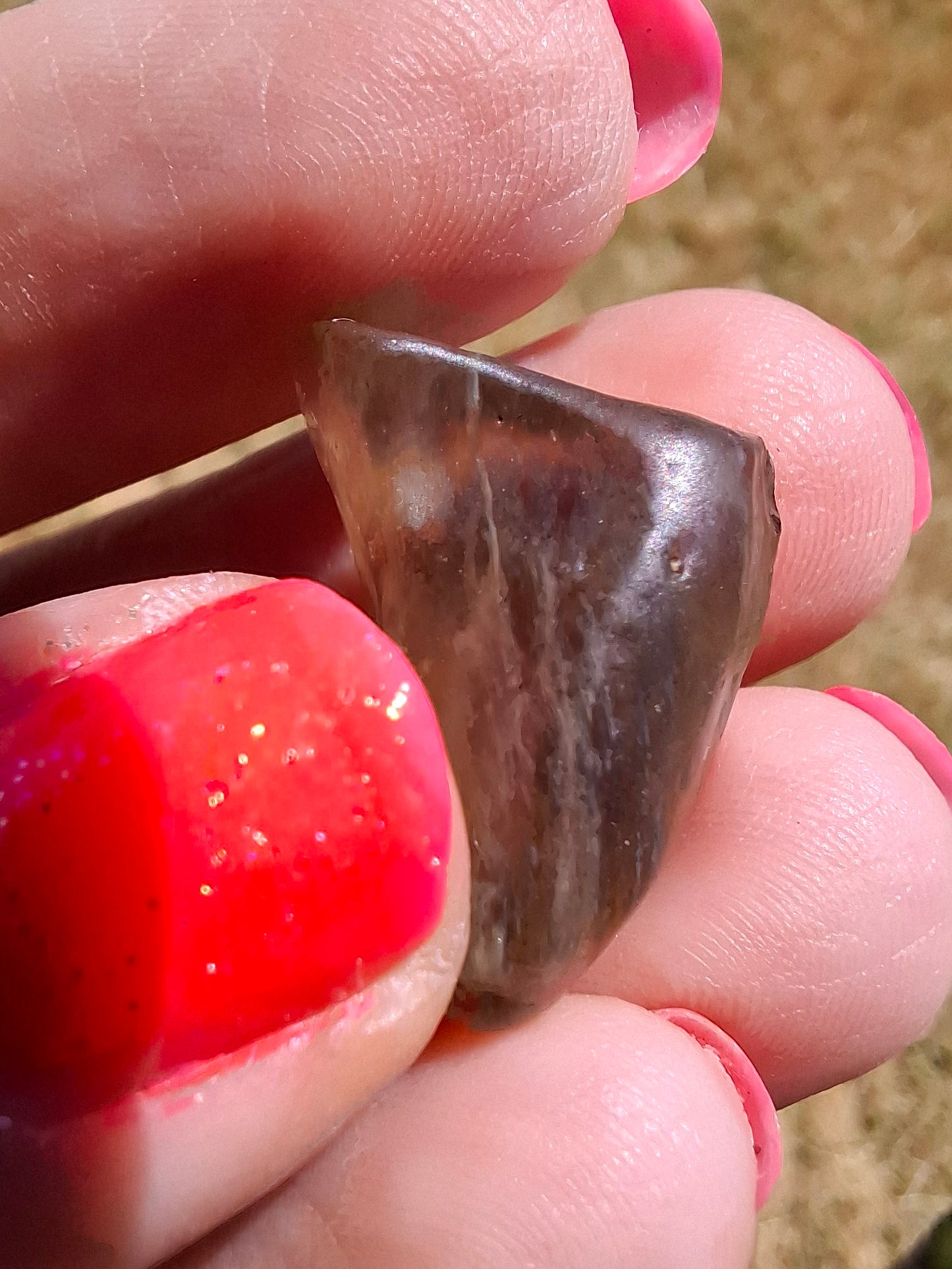 Libyan Desert Glass (darker) Piece, 4.43g, Tektite (Ref: L1361)