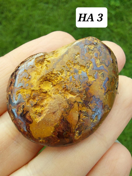 Hematite Ammonite, 16.00g, Fossil (Ref: HA3)