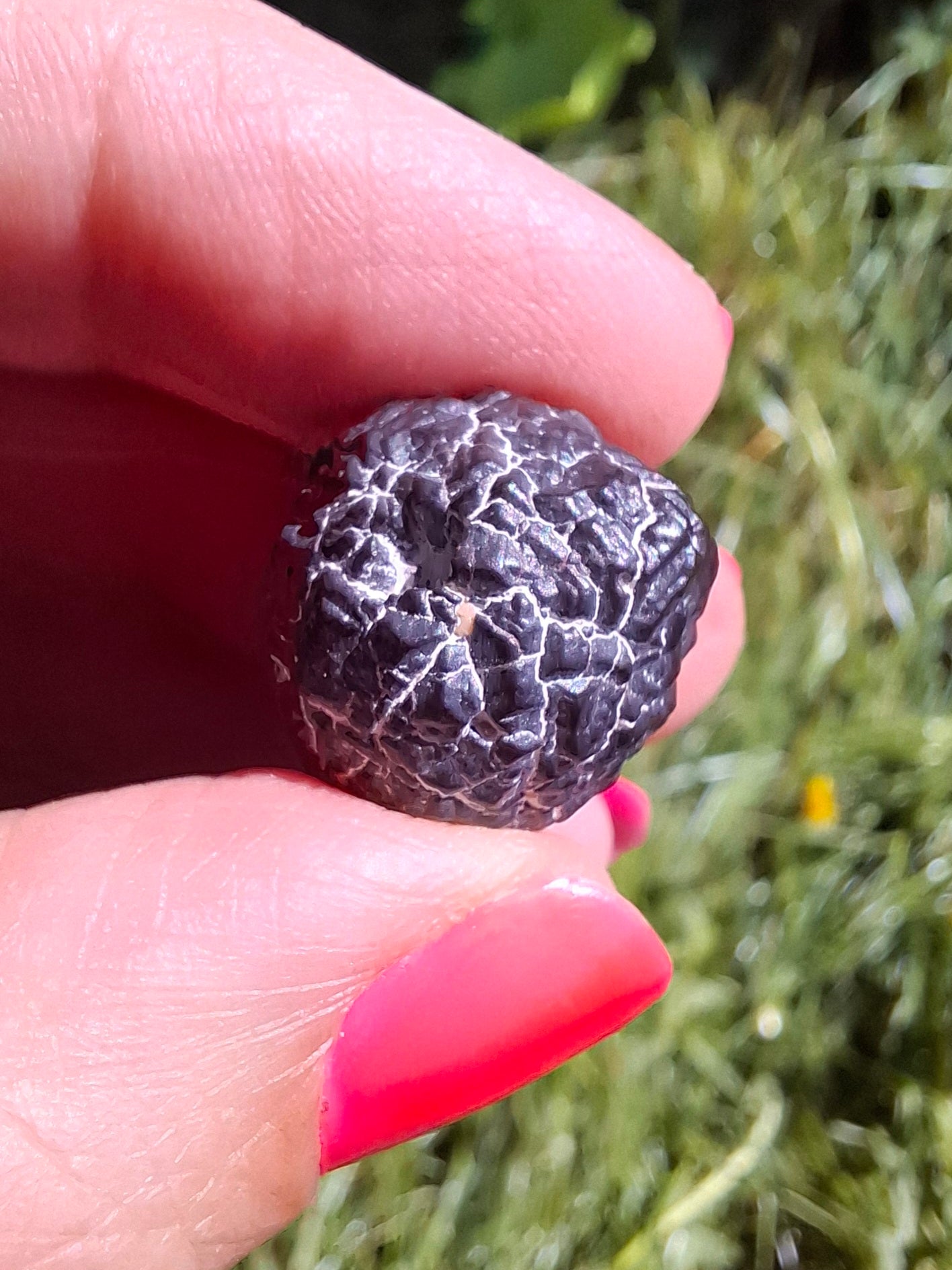 Prophecy Stone, 8.69g (Ref: PS3)