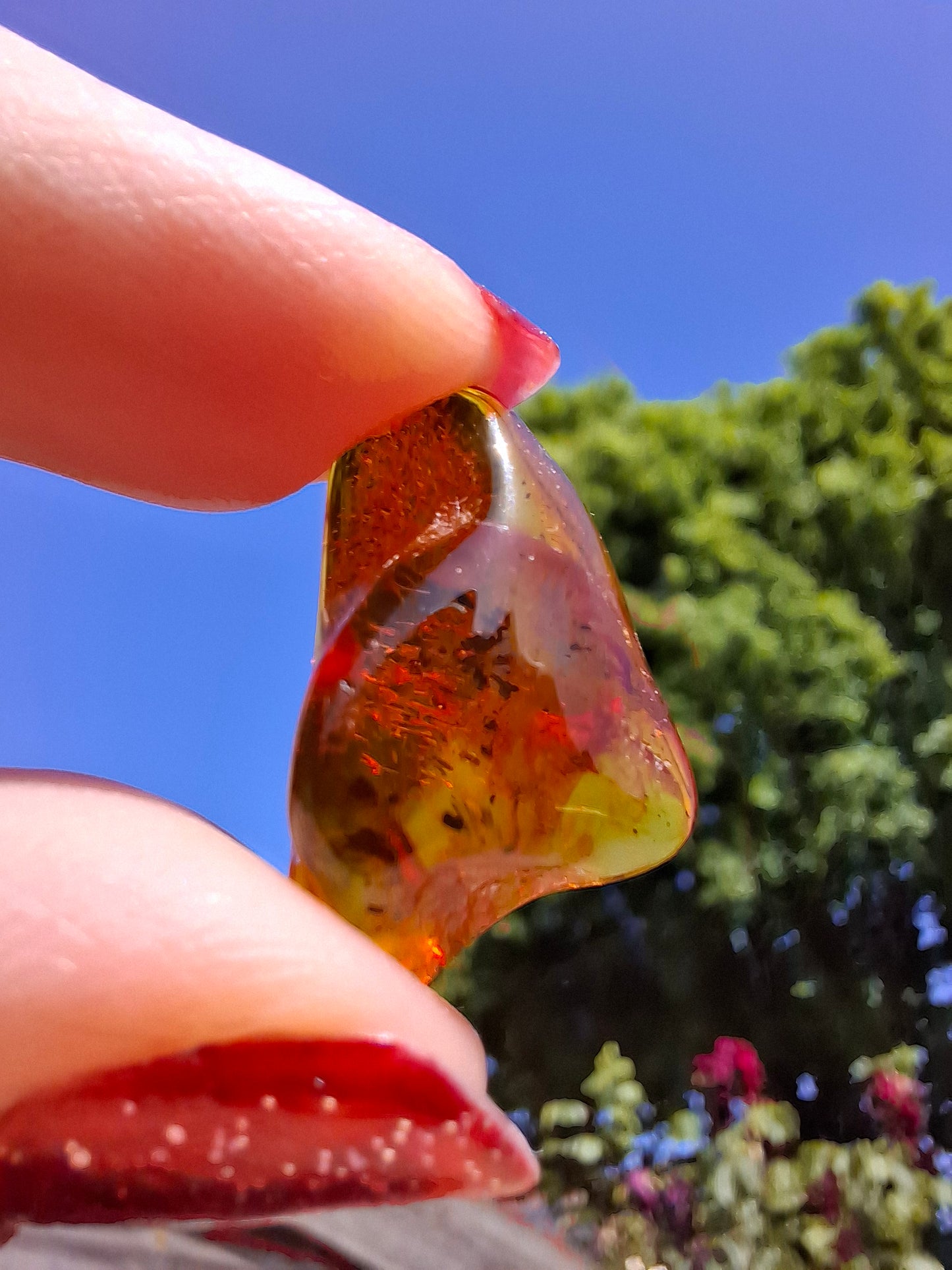Baltic Amber, 1.47g, Fossil (Ref: A238)