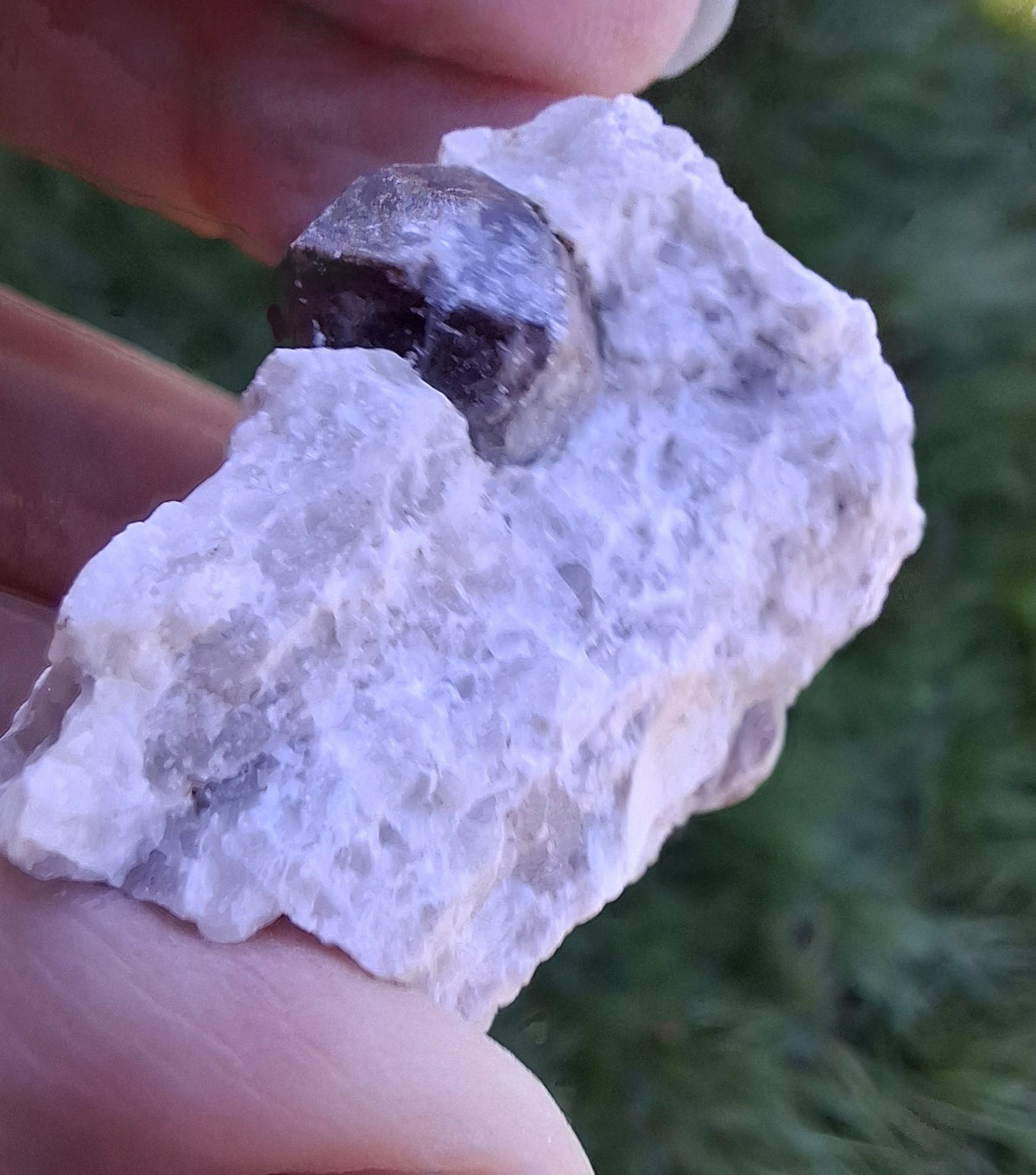 (Dig your own) Garnet in Matrix, Crystal (Ref: RG7)