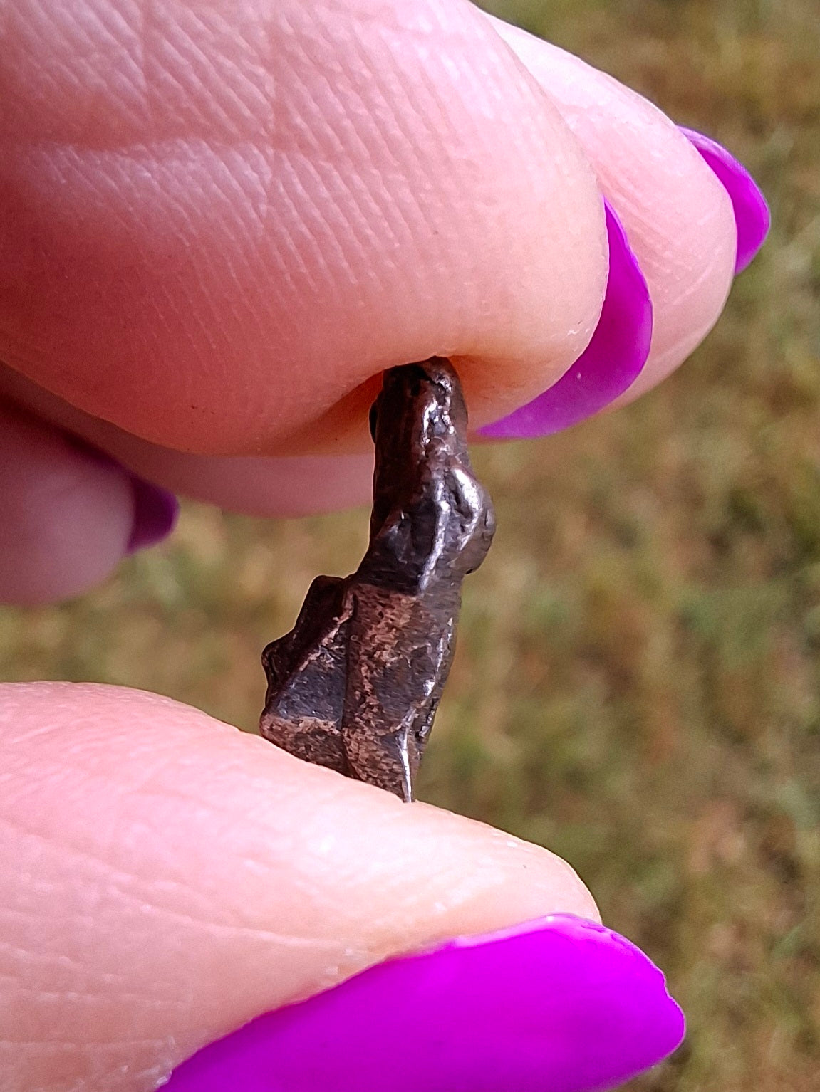 Campo del Cielo, 0.99g, Nickel Iron Meteorite (Ref: C5)