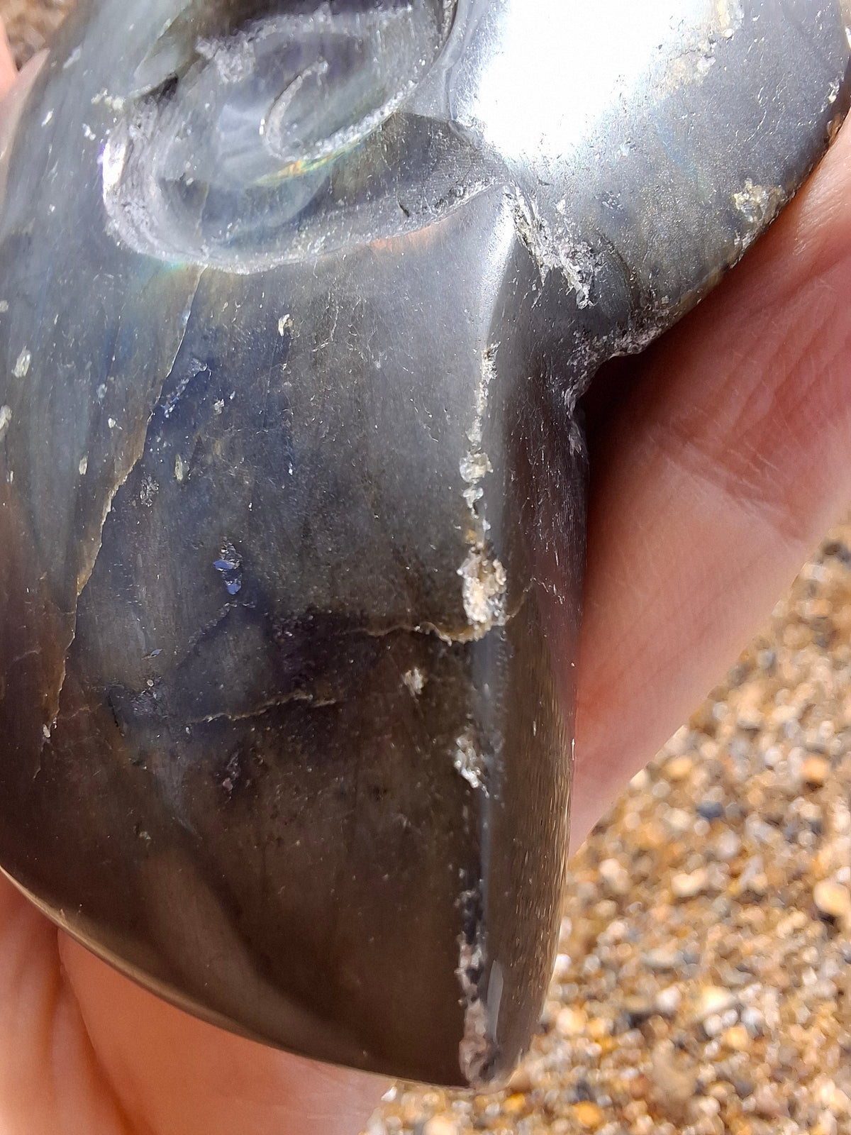 Labradorite Ammonite Carving, 160.21g, Crystal (Ref: laba4)