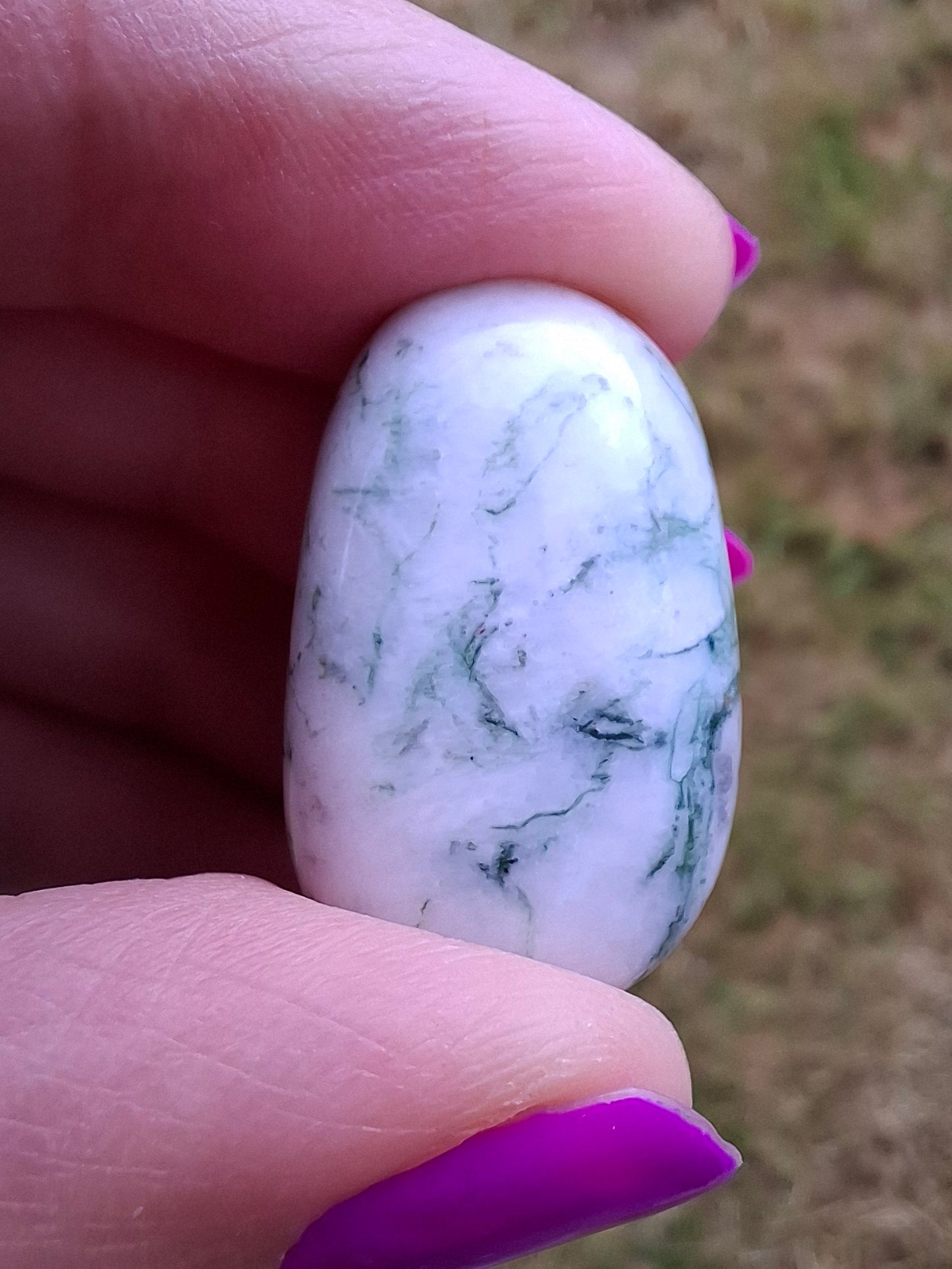Tree Agate, Tumble Stone, Crystal (Ref: T3)