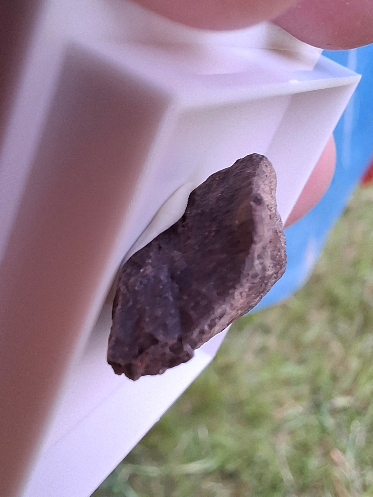 Chondrite, Meteorite (Ref: CM6)