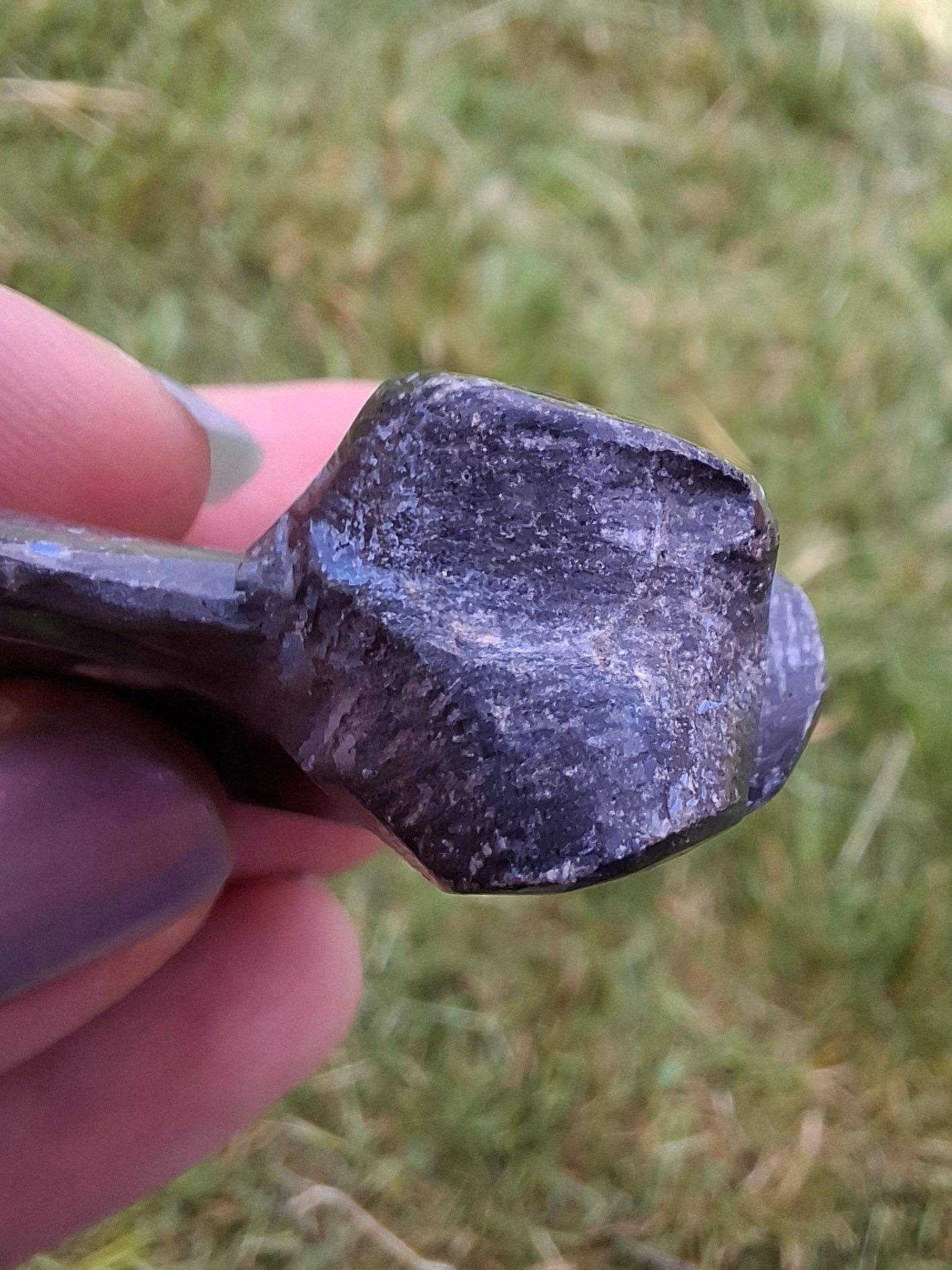 Goniatite, Fossil (Ref: GA8)