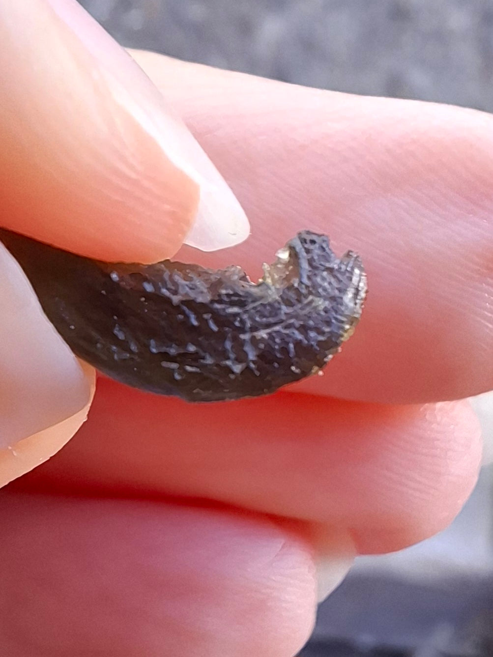 Moldavite Piece, 0.59g, Tektite (Ref: 1413)