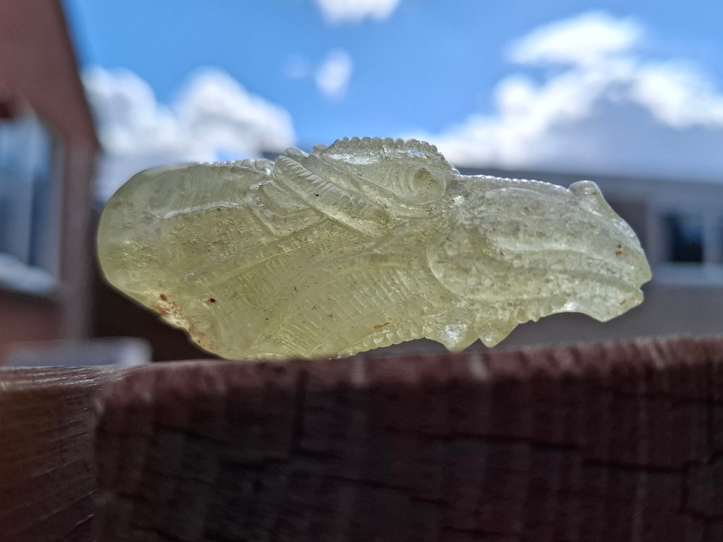 Libyan Desert Glass DRAGON HEAD carving, 48.11g, Tektite (Ref: Dragon4)