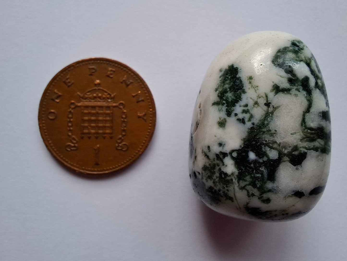 Tree Agate, Tumble Stone, Crystal (Ref: T5)