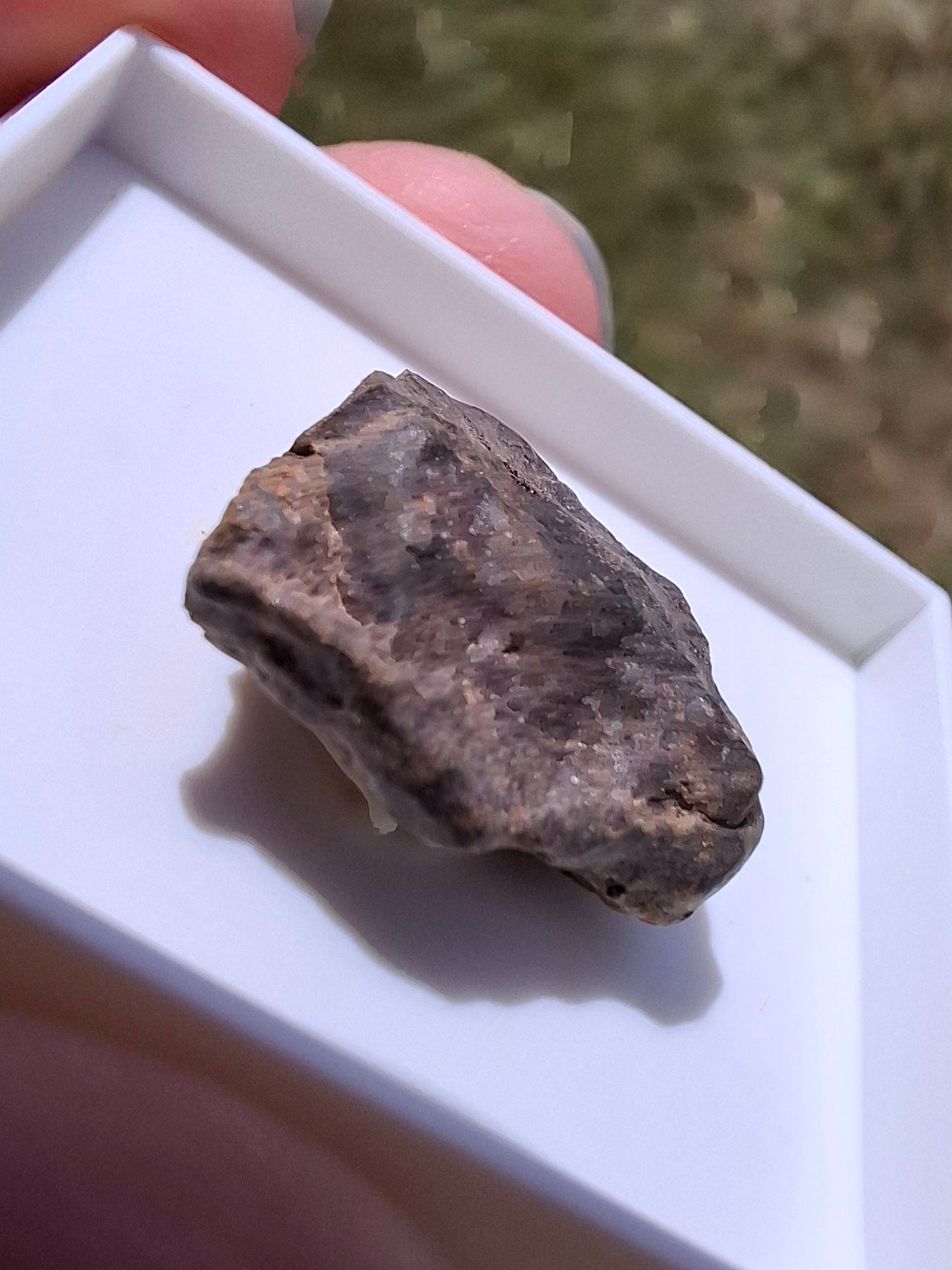 Chondrite, Meteorite (Ref: CM10)