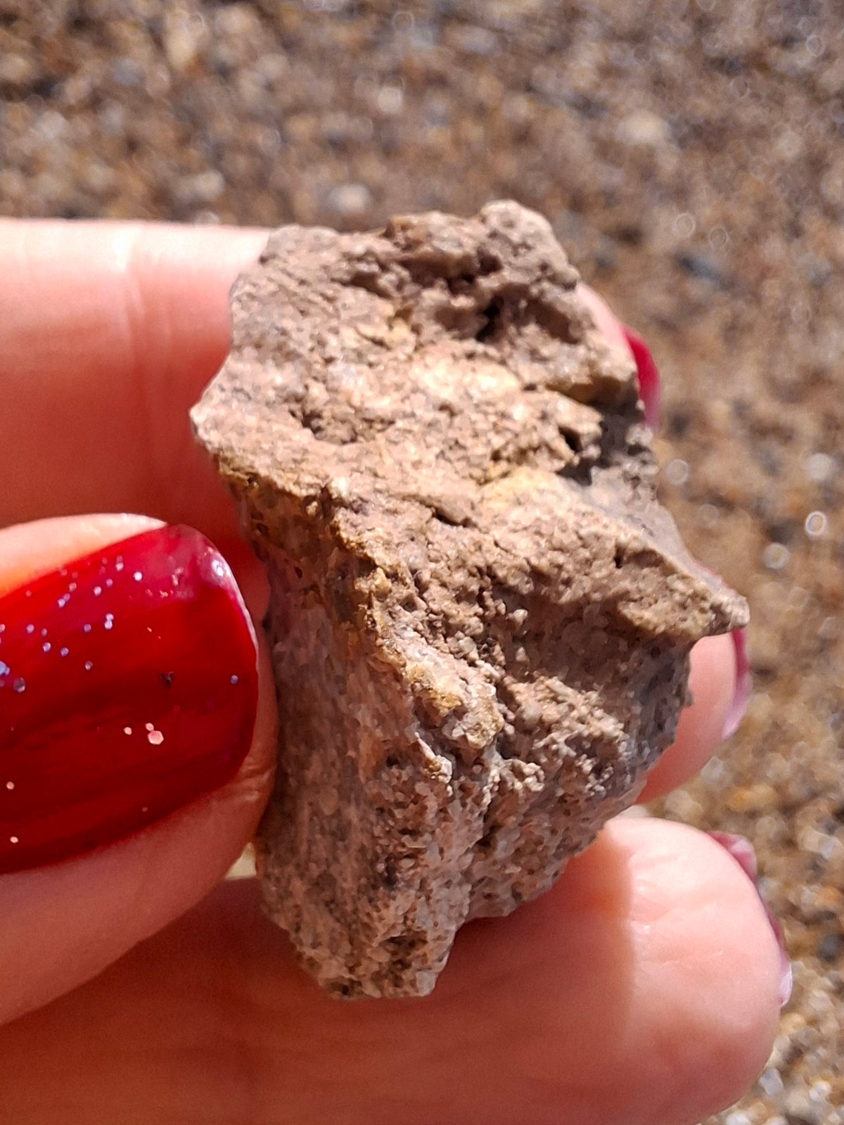 Sauropod Dinosaur Coprolite, 12.82g, Fossil (Ref: DP1)