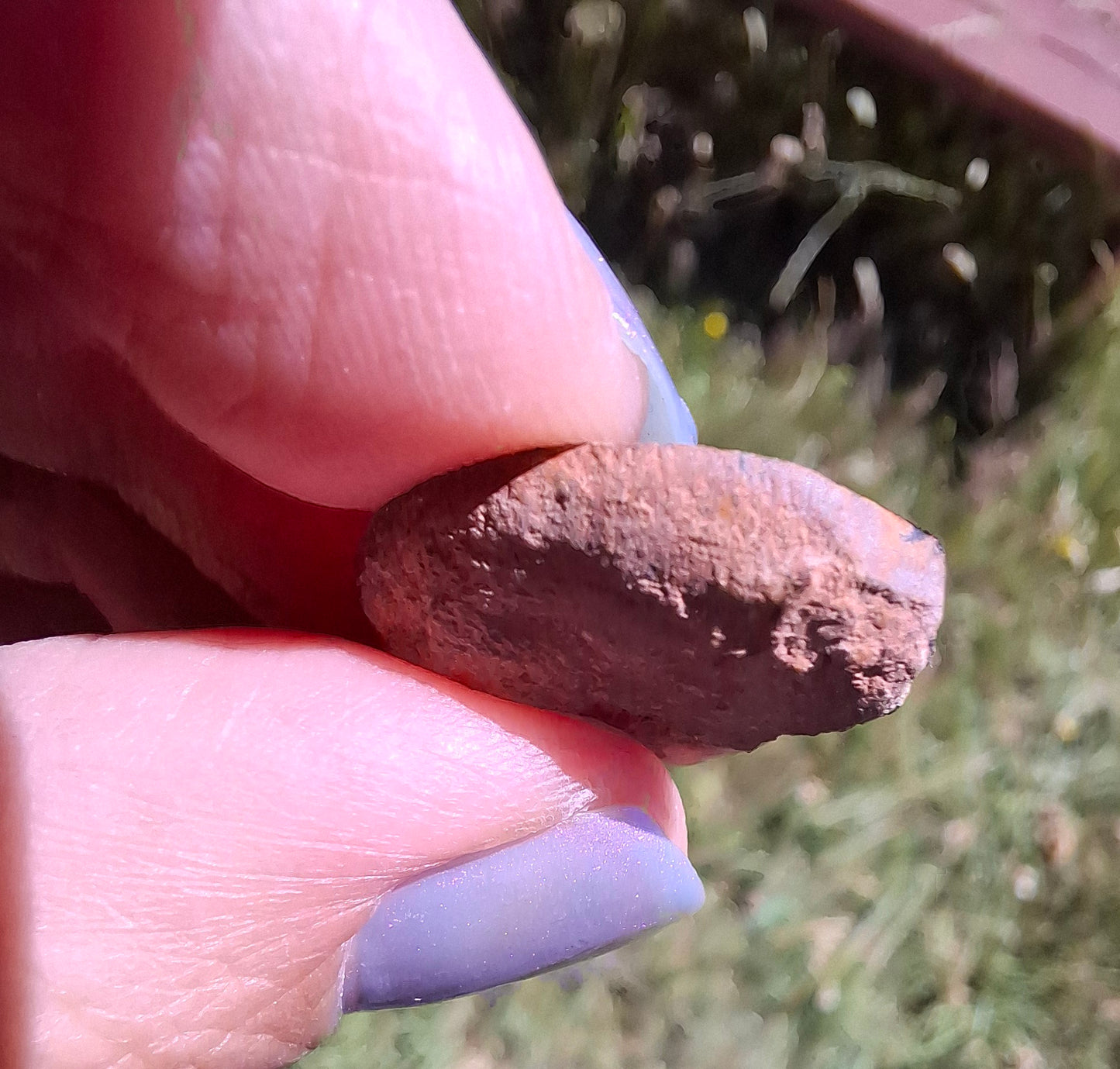 Small Haematite Ammonite HALF, 2.59g, Fossil (Ref: MA7)