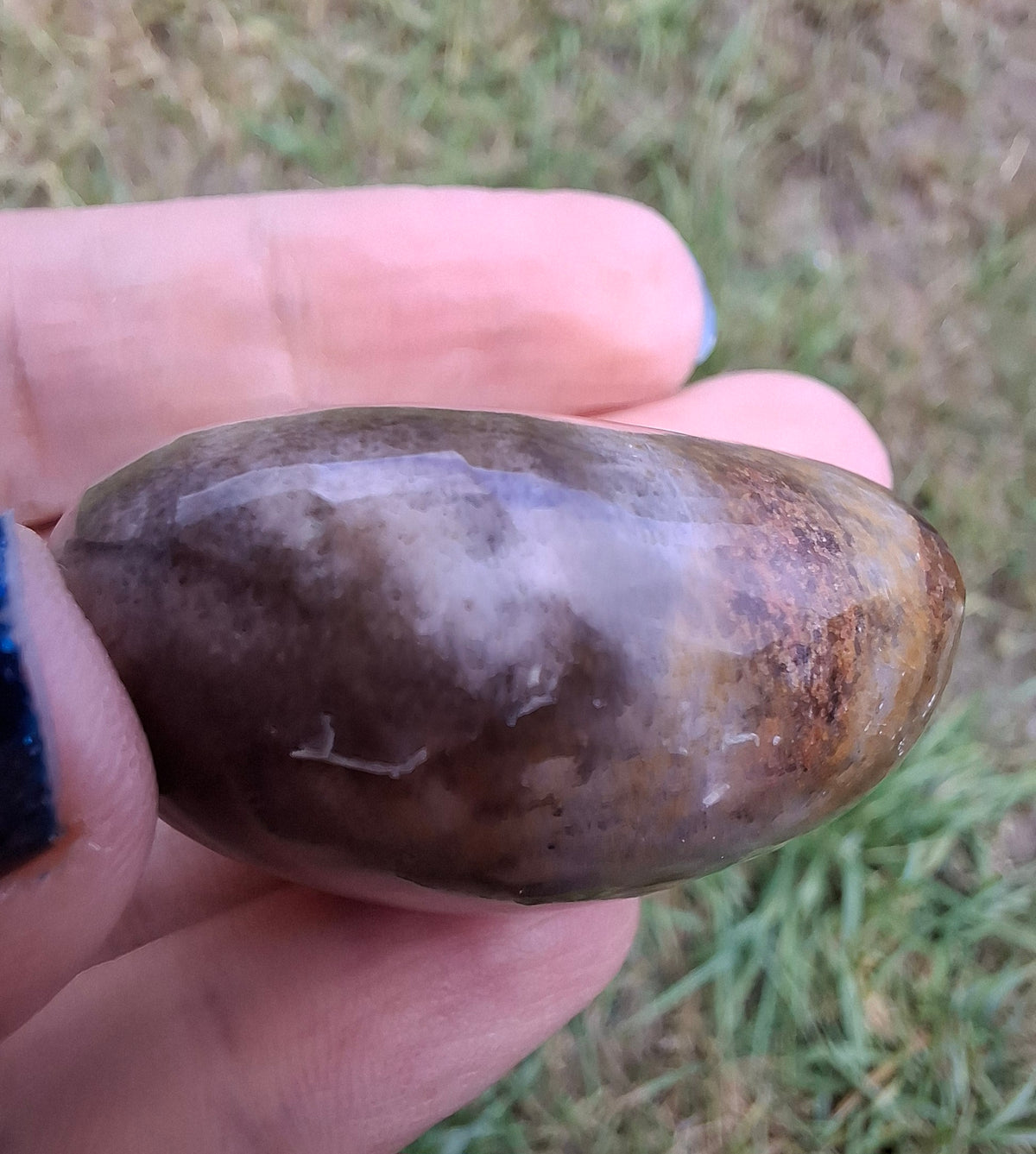 Polished Sea Urchin, Fossil (Ref: SU3)